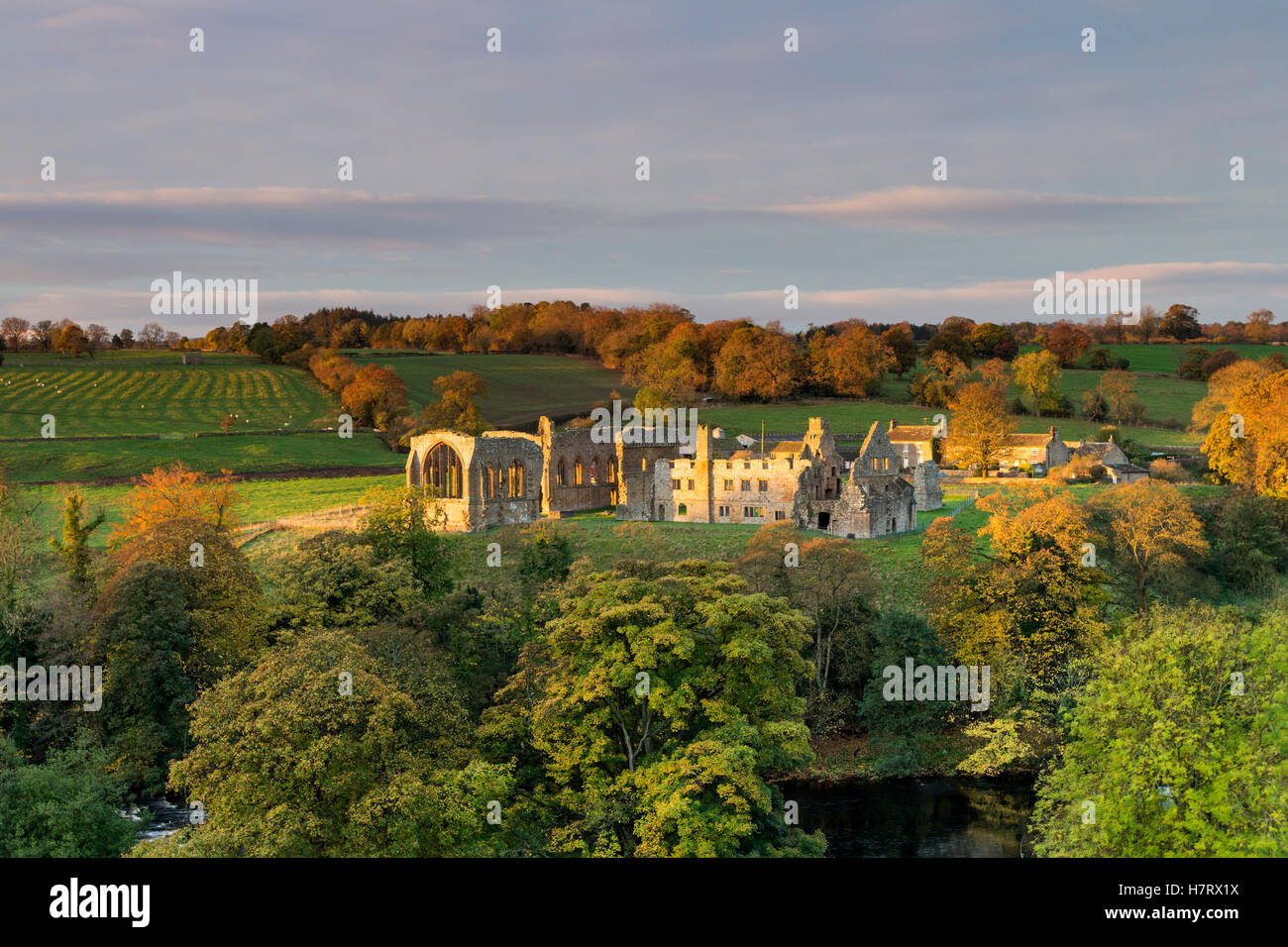 Abbaye Egglestone, Barnard Castle, comté de Durham, Royaume-Uni Teesdale. Mardi 8 novembre 2016, UK Weather. Un démarrage à froid de la journée comme les premiers rayons du soleil levant grève les ruines de l'abbaye Egglestone près de Barnard Castle dans le nord-est de l'Angleterre. La prévision est pour la neige et d'arriver du jour au lendemain avec les zones de collines au-dessus de 400 mètres d'avoir attendu jusqu'à 15cm. Crédit : David Forster/Alamy Live News Banque D'Images