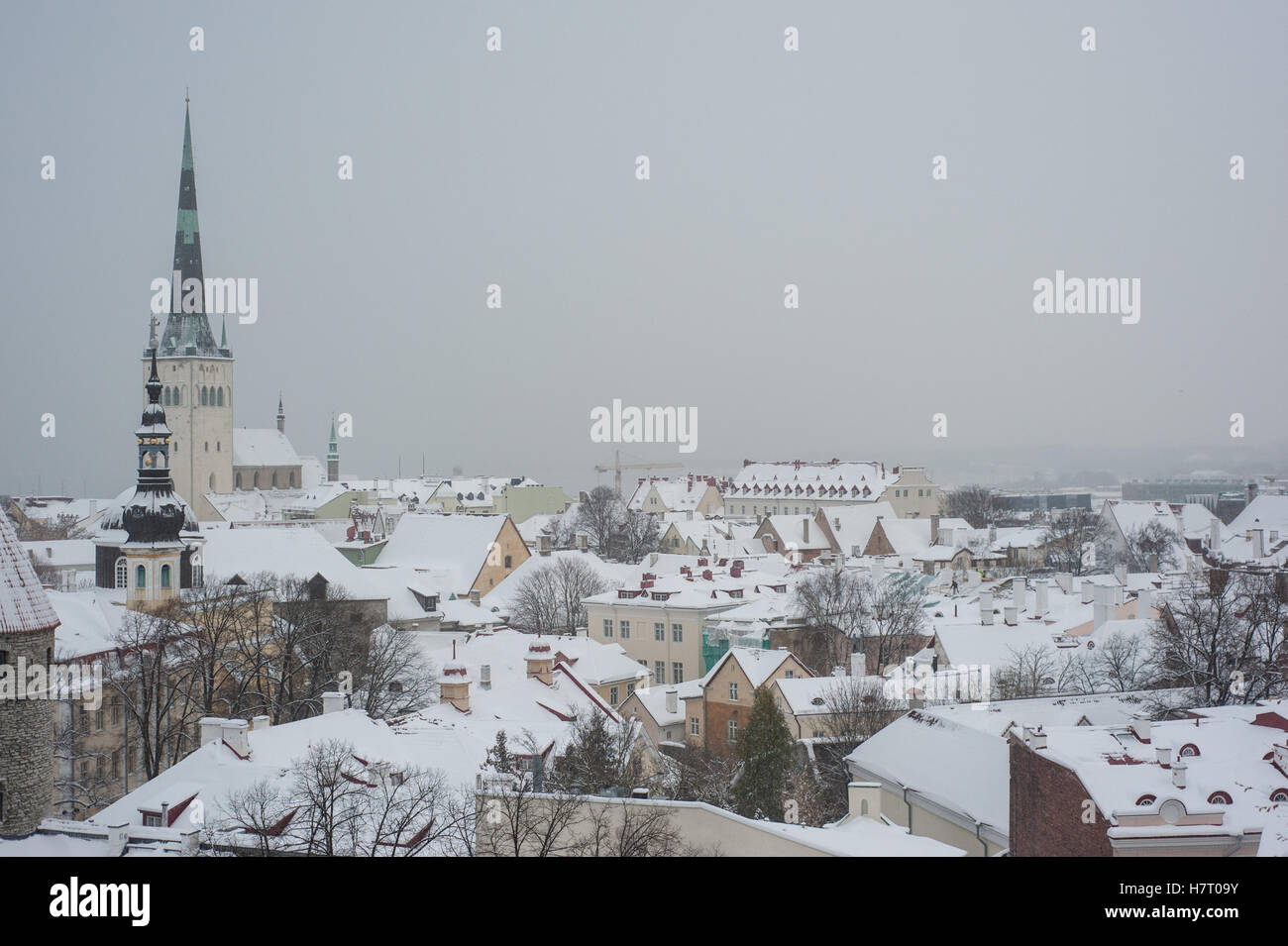 Tallinn, Estonie, 8 novembre 2016. La vieille ville de Tallinn. Selon le journal Postimees Présidents des cinq groupes parlementaires estoniens après une séance le mardi après-midi, a invité le premier ministre Taavi Roivas, le président du Parti réformiste, de démissionner en tant que chef de gouvernement par le mercredi ou sinon tous les cinq parties s'exprime aucune confiance en lui. Premier ministre estonien Taavi faces Roivas vote de confiance après l'effondrement de la coalition lundi soir. Crédit : Nicolas Bouvy/Alamy Live News Banque D'Images