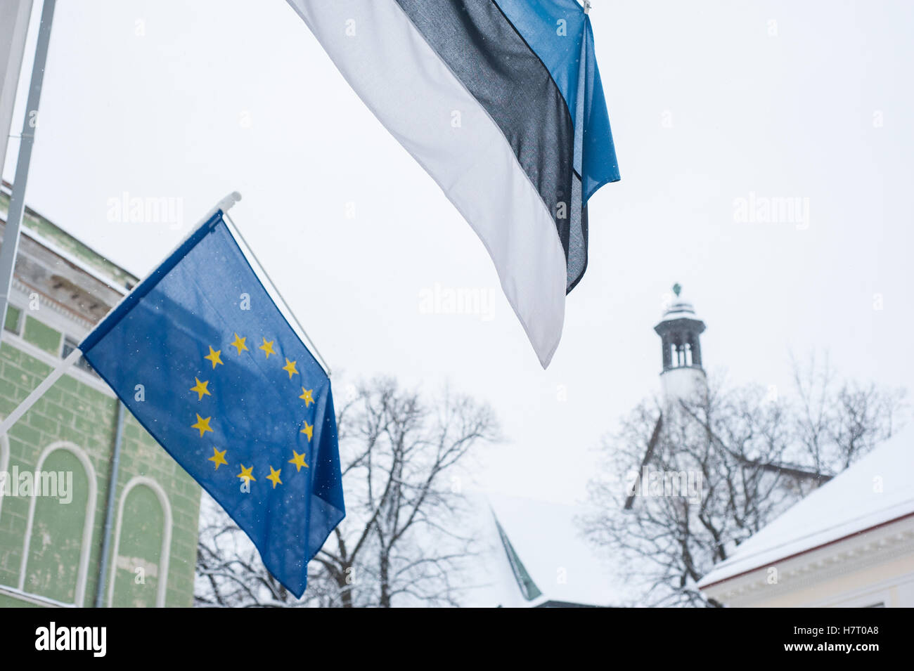 Tallinn, Estonie, 8 novembre 2016. Les drapeaux européens et de l'Estonie Tallinn en vieille ville. Selon le journal Postimees Présidents des cinq groupes parlementaires estoniens après une séance le mardi après-midi, a invité le premier ministre Taavi Roivas, le président du Parti réformiste, de démissionner en tant que chef de gouvernement par le mercredi ou sinon tous les cinq parties s'exprime aucune confiance en lui. Premier ministre estonien Taavi faces Roivas vote de confiance après l'effondrement de la coalition lundi soir. Crédit : Nicolas Bouvy/Alamy Live News Banque D'Images