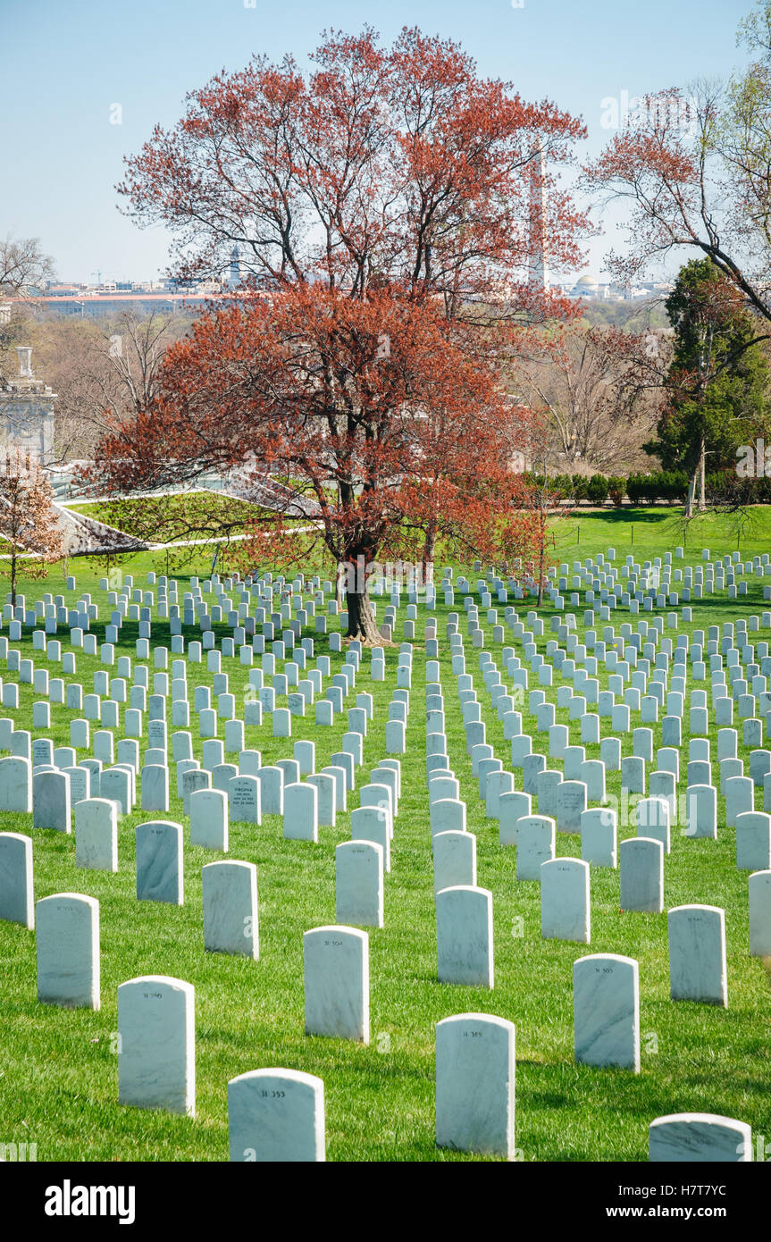 Le Cimetière National d'Arlington, Banque D'Images