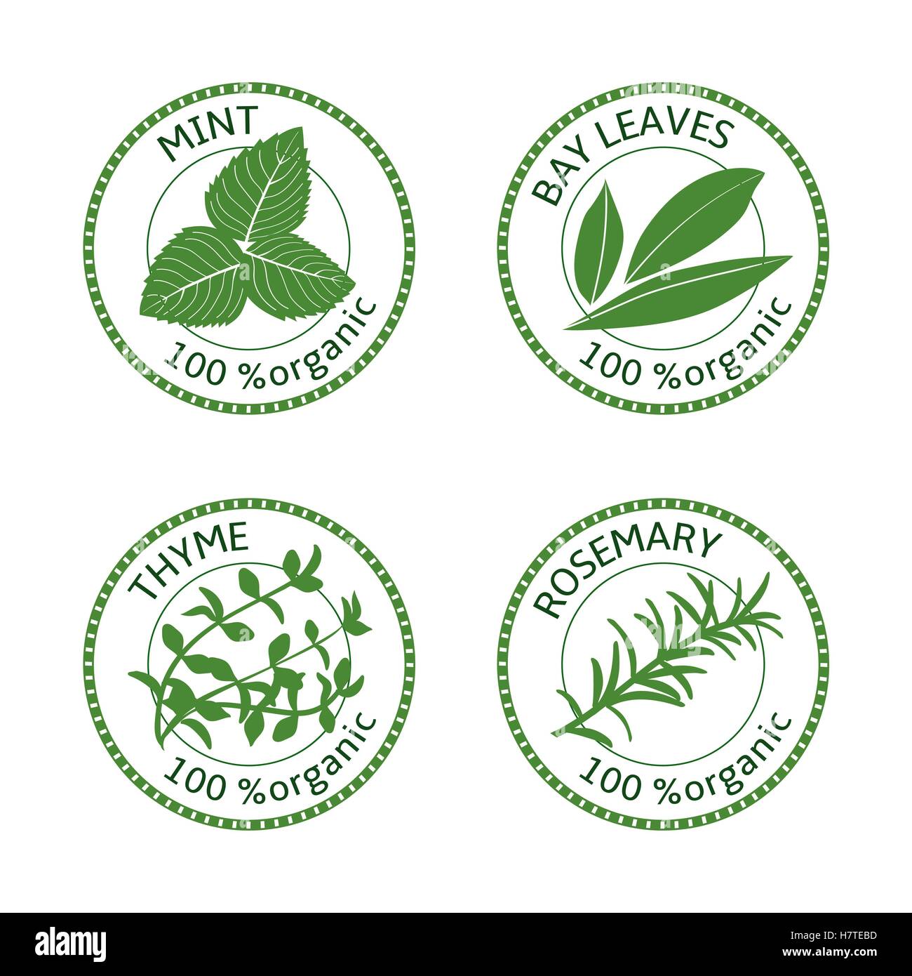 Ensemble d'étiquettes d'herbes. 100  % bio. Verdure collection. Vector illustration. Le romarin, la menthe thym feuilles de laurier Illustration de Vecteur