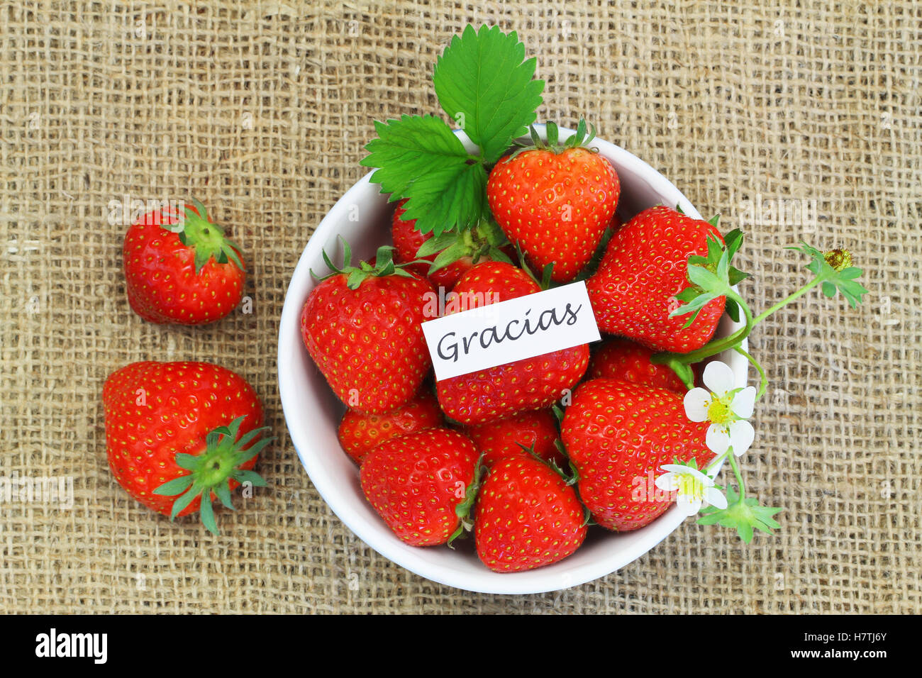 Gracias (merci en espagnol) Carte avec bol de fraises fraîches Banque D'Images