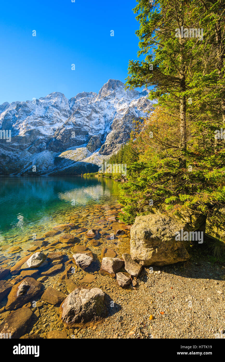 Le lac Morskie Oko dans collection automne couleurs et pics de neige, Tatras, Pologne Banque D'Images