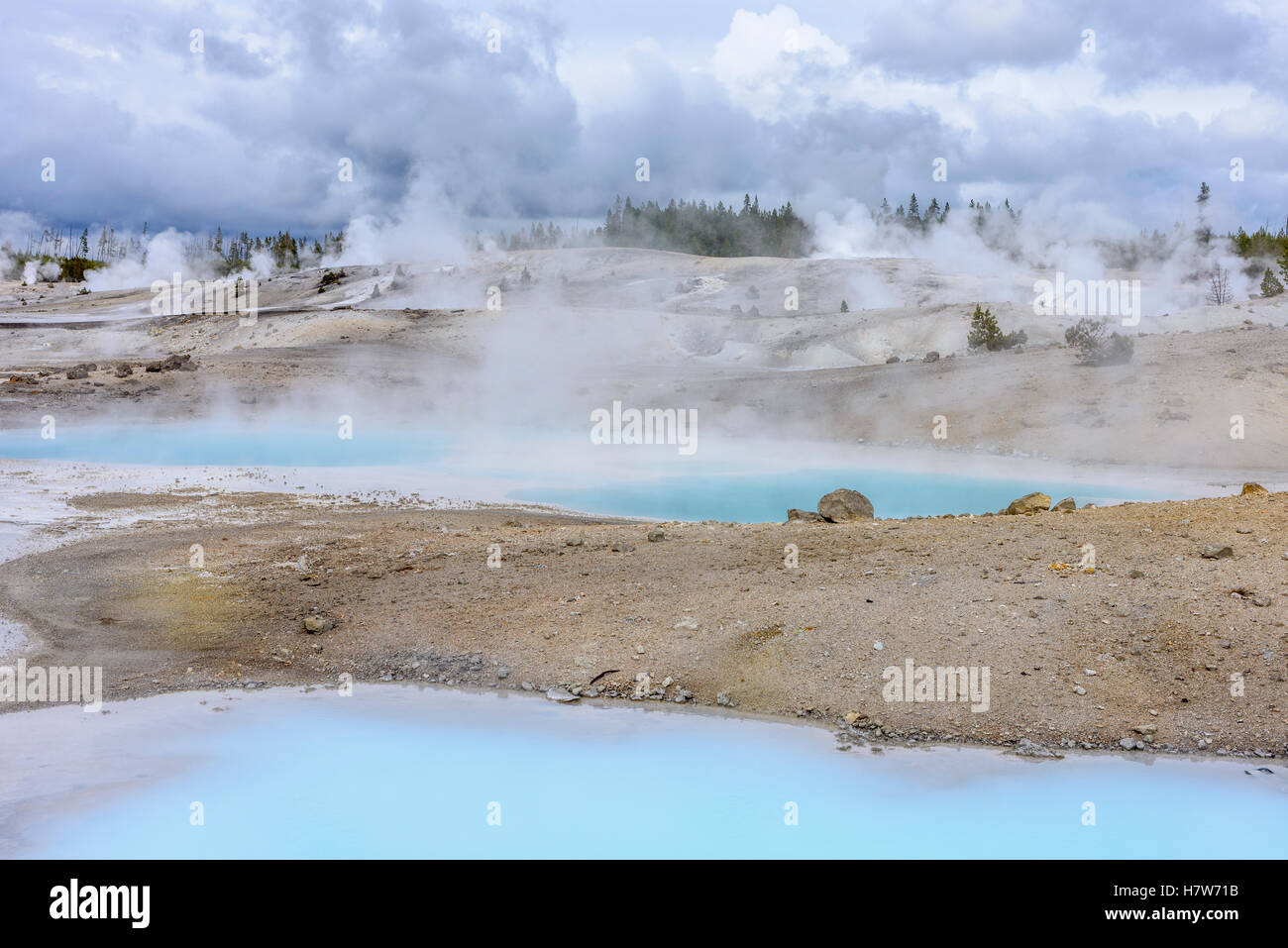 Une partie de l'lavabo en porcelaine Norris Geyser Basin dans le Parc National de Yellowstone. Banque D'Images