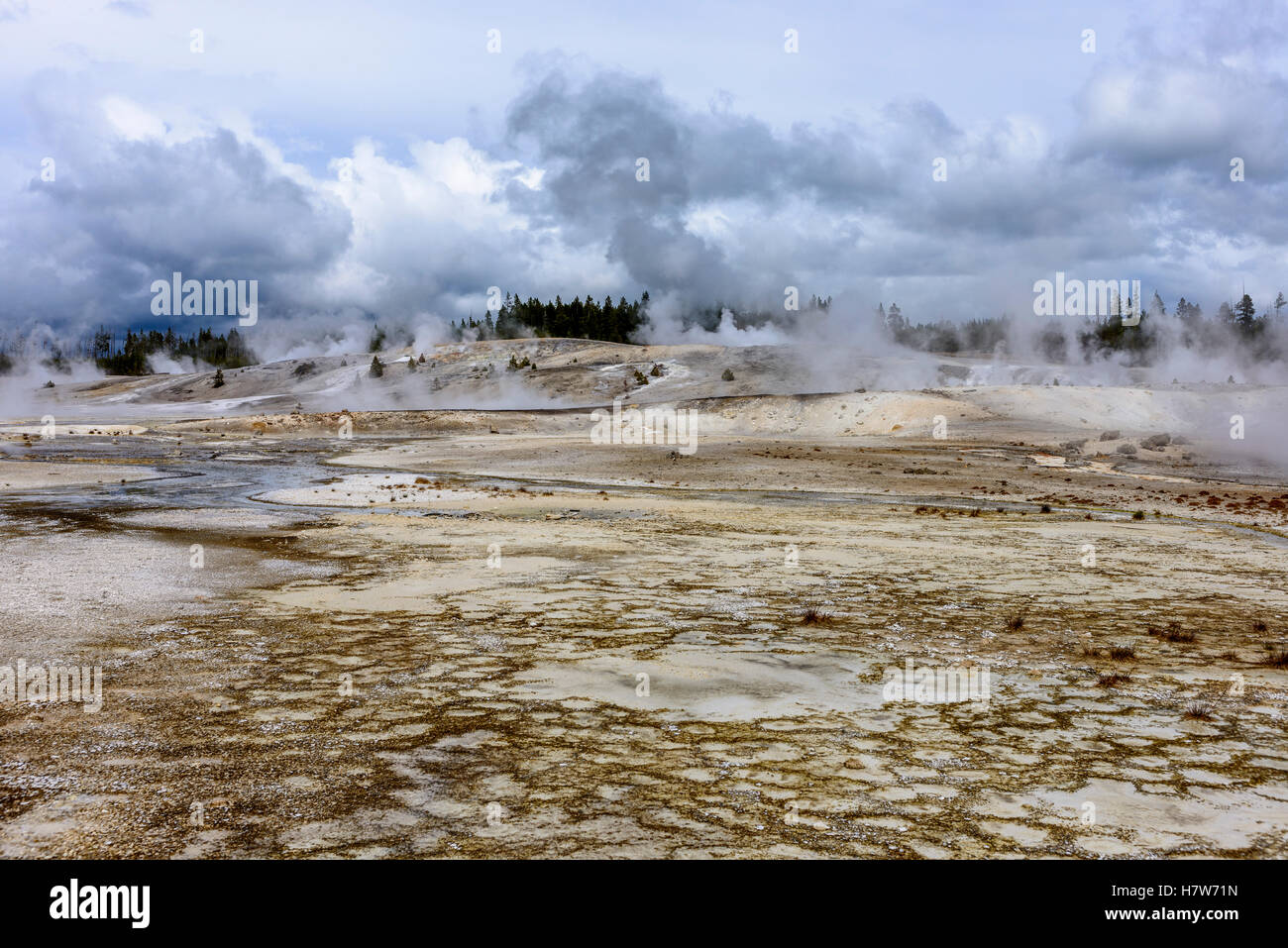 Une partie de l'lavabo en porcelaine Norris Geyser Basin dans le Parc National de Yellowstone. Banque D'Images