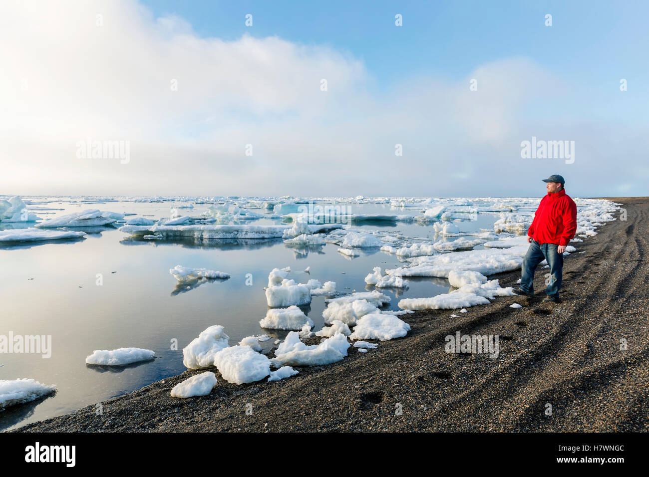 Un homme au bord de l'océan Arctique à l'extérieur, vers le coucher de soleil à travers un épais brouillard, Barrow, versant nord, l'Alaska arctique, USA, l'été Banque D'Images