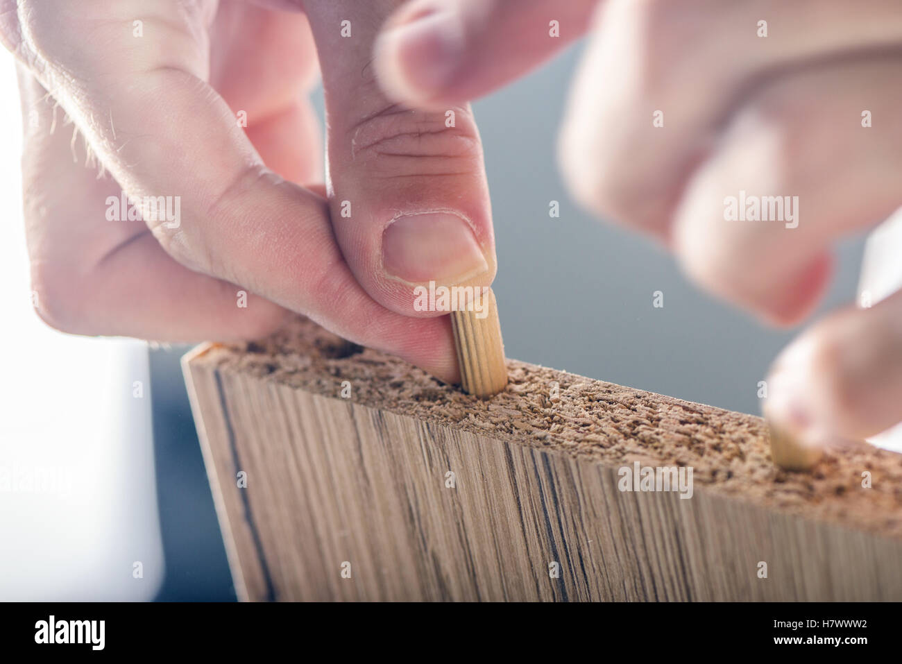 Homme montage de meubles à domicile, homme part avec chevilles en bois et contreplaqué Banque D'Images