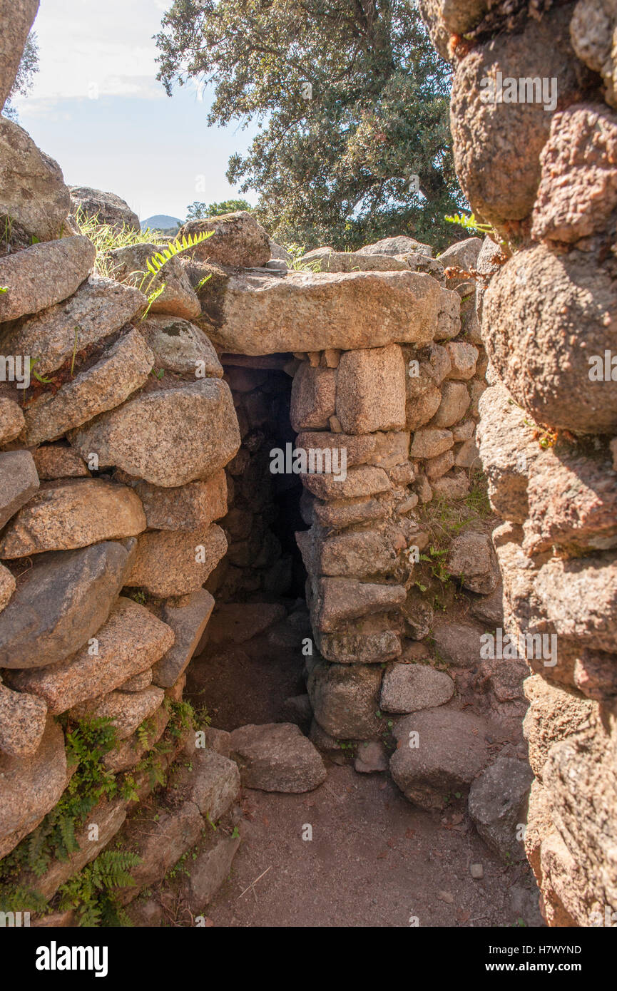 Vive l'entrée de Filotosa, la capitale de la Corse préhistorique, avec dolmen, menhirs, et Torrean reliques, France Banque D'Images