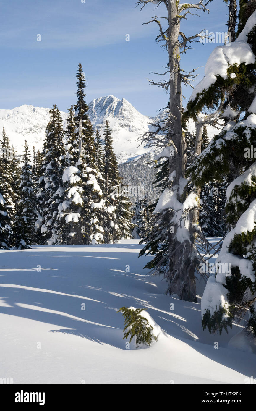 Gamme Spearhead vu de Whistler Mountain en hiver, Whistler, British Columbia, Canada Banque D'Images