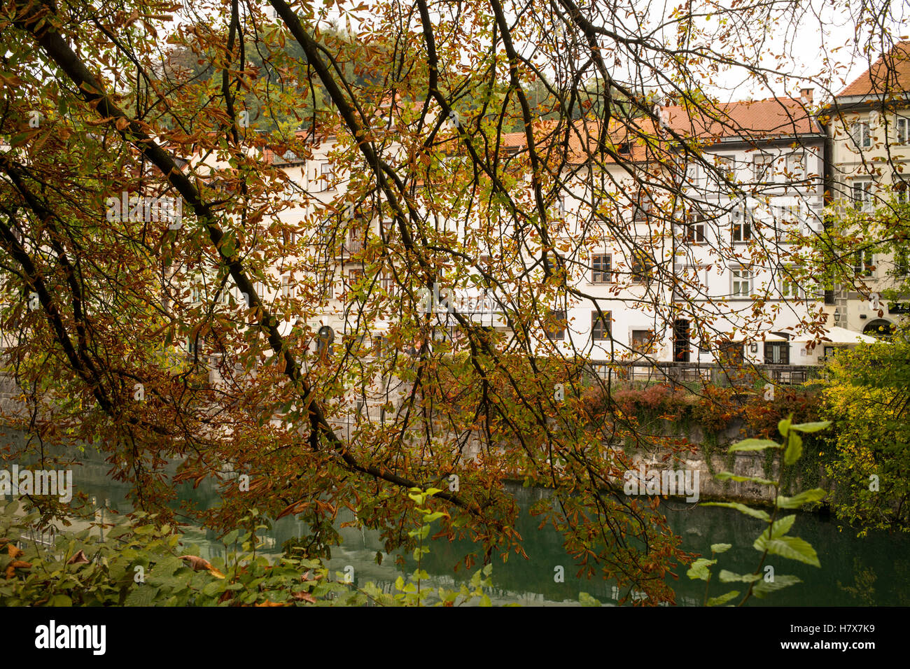 Couleurs d'automne sur la rivière Ljublianica Ljubljana, Slovénie Banque D'Images