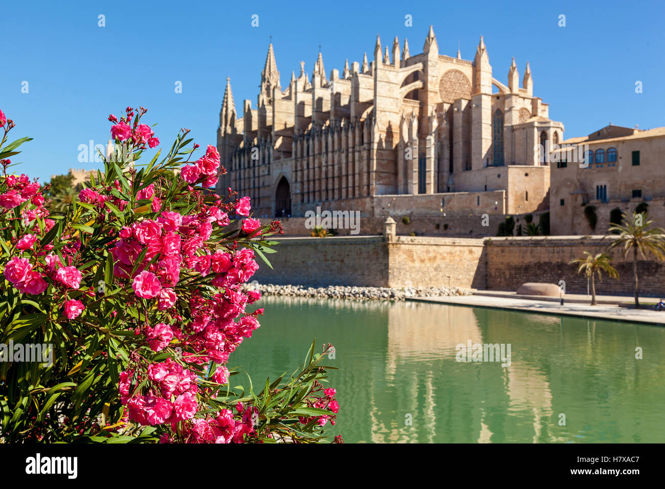 La Cathédrale de Santa Maria de Palma, La Seu est aussi une cathédrale catholique de style gothique situé à Palma, Majorque, Espagne. Banque D'Images
