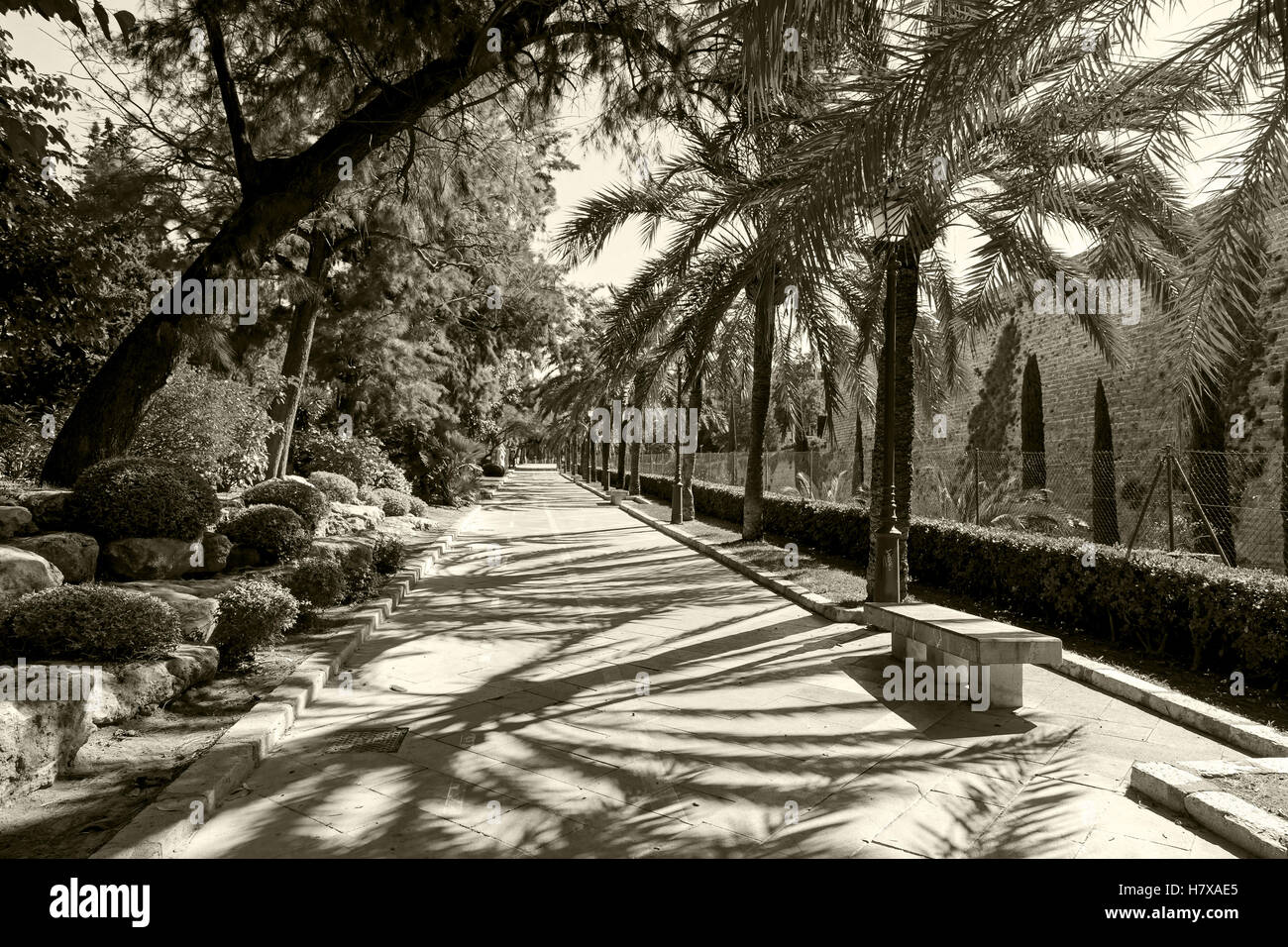 Ruelle dans le parc de Palma de Majorque. La ruelle déserte dans la ville balnéaire park sur une journée ensoleillée. D'un côté ou de l'étalage de divers Banque D'Images Ruelle dans le parc de Palma de Majorque. La ruelle déserte dans la ville balnéaire park sur une journée ensoleillée. D'un côté ou de l'étalage de divers Banque D'Images