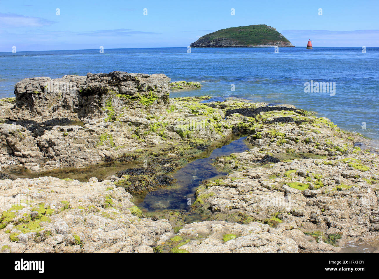 L'île de macareux à Penmon Point, Anglesey, Pays de Galles, Royaume-Uni Banque D'Images