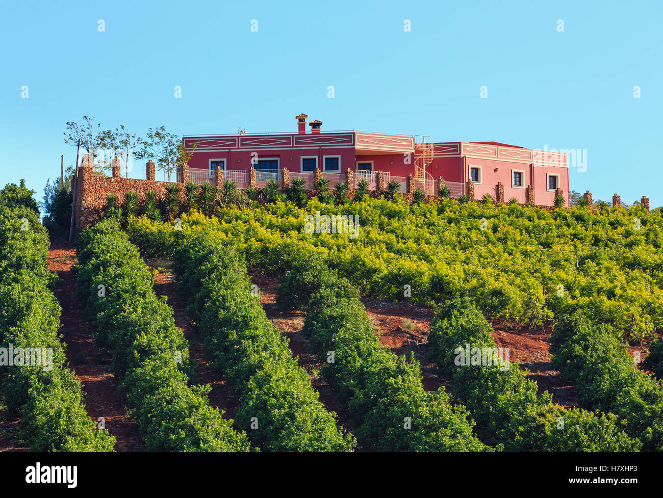 Pays d'été paysage avec des arbres et arbustes de la pente et de la chambre sur le dessus. Portugal (entre Lisbonne et Algarve). Banque D'Images