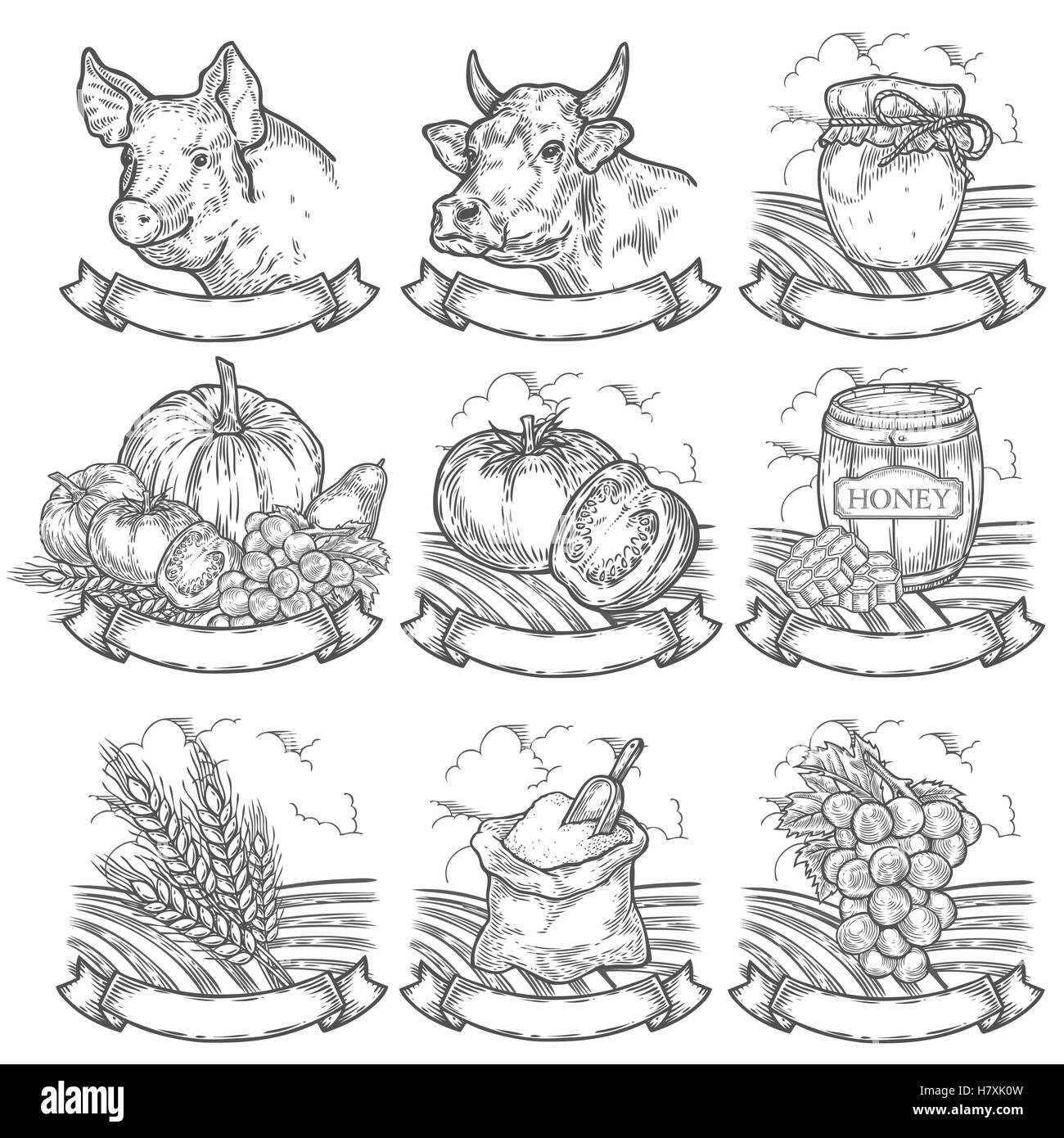 Marché de producteurs, boucherie, boulangerie badges. Ferme Vintage Retro Vintage set signe gravé isolé sur fond blanc. Sketch vecto Illustration de Vecteur