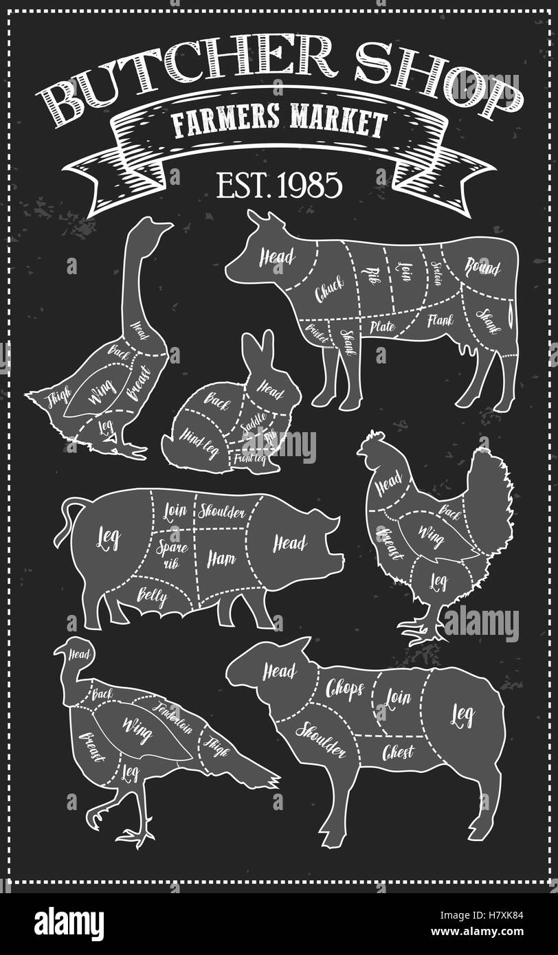 Couper la viande en régime de coupe guide schéma de style vintage. L'élément graphique illustration de craie pour menu, bannière. Steak de porc vache chick Illustration de Vecteur