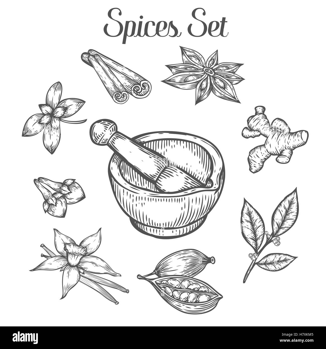 Mortier et pilon à épices. Croquis à main vintage retro vector illustration. Bol, navire pour la mouture spice and medical h Illustration de Vecteur