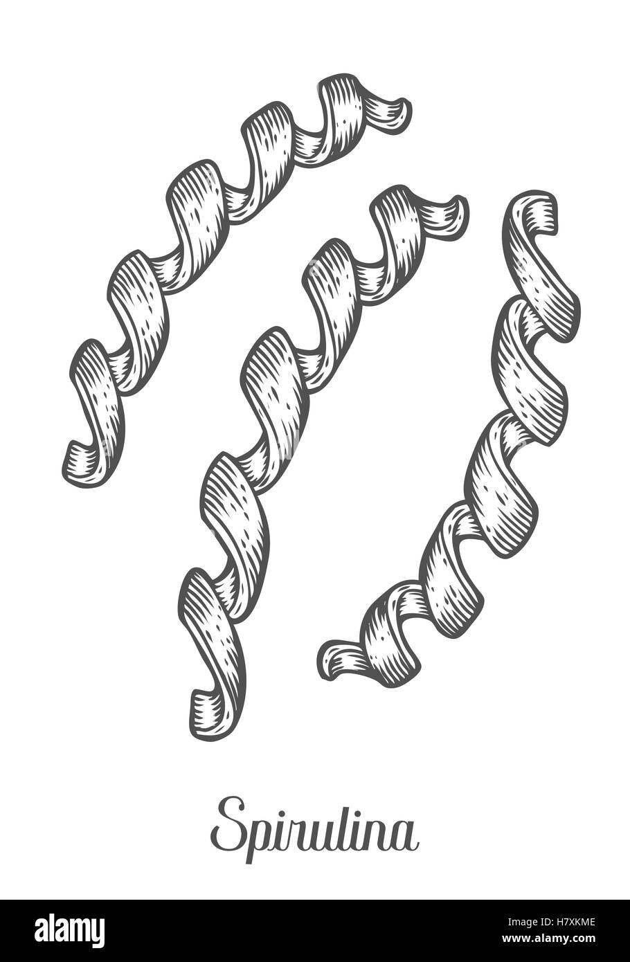 La spiruline bio complément alimentaire sain superfood. Croquis dessinés à la main, vector illustration isolé sur fond blanc. Alga Illustration de Vecteur