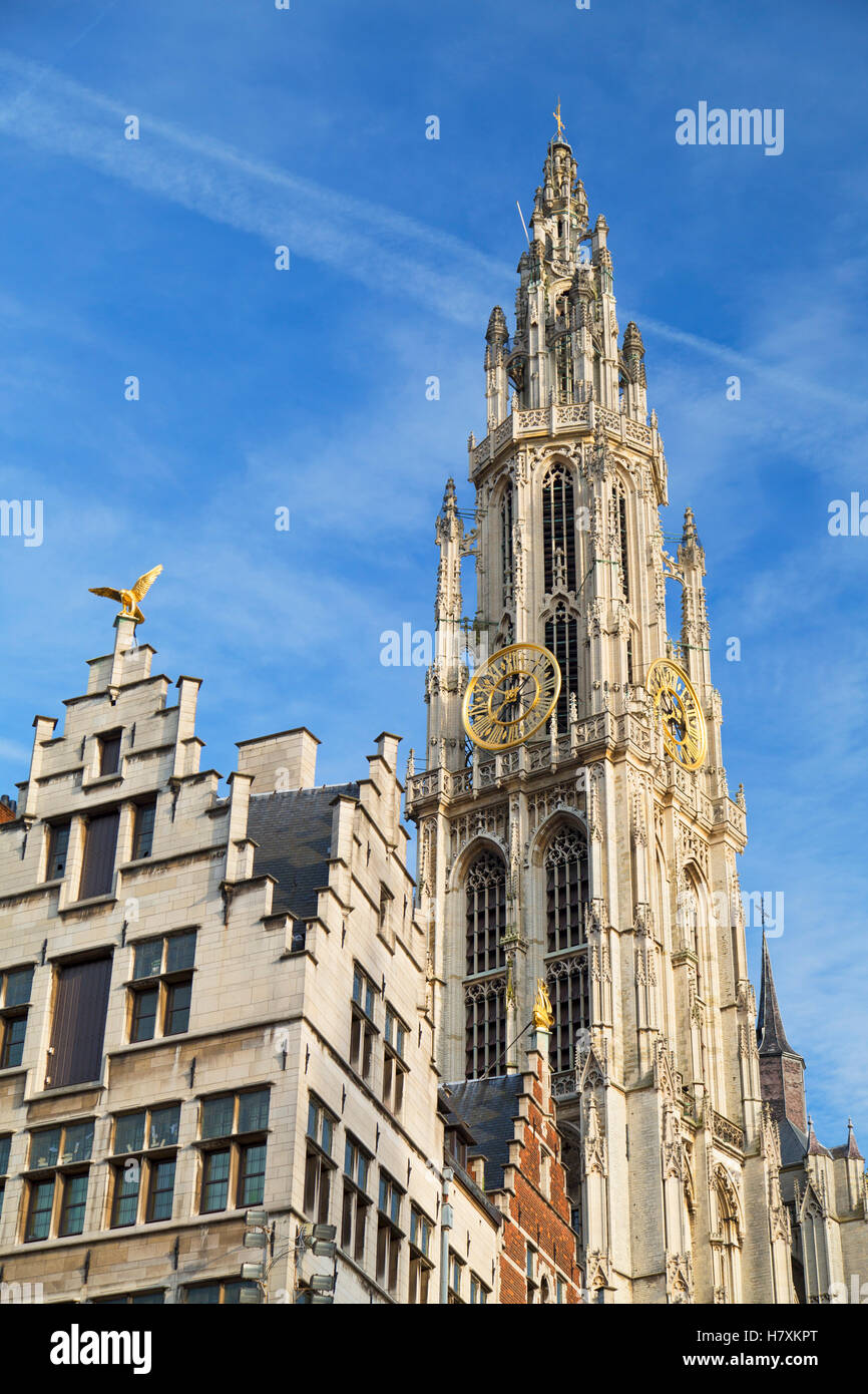 Onze-Lieve-Vrouwe Cathédrale, Anvers, Flandre orientale, Belgique Banque D'Images