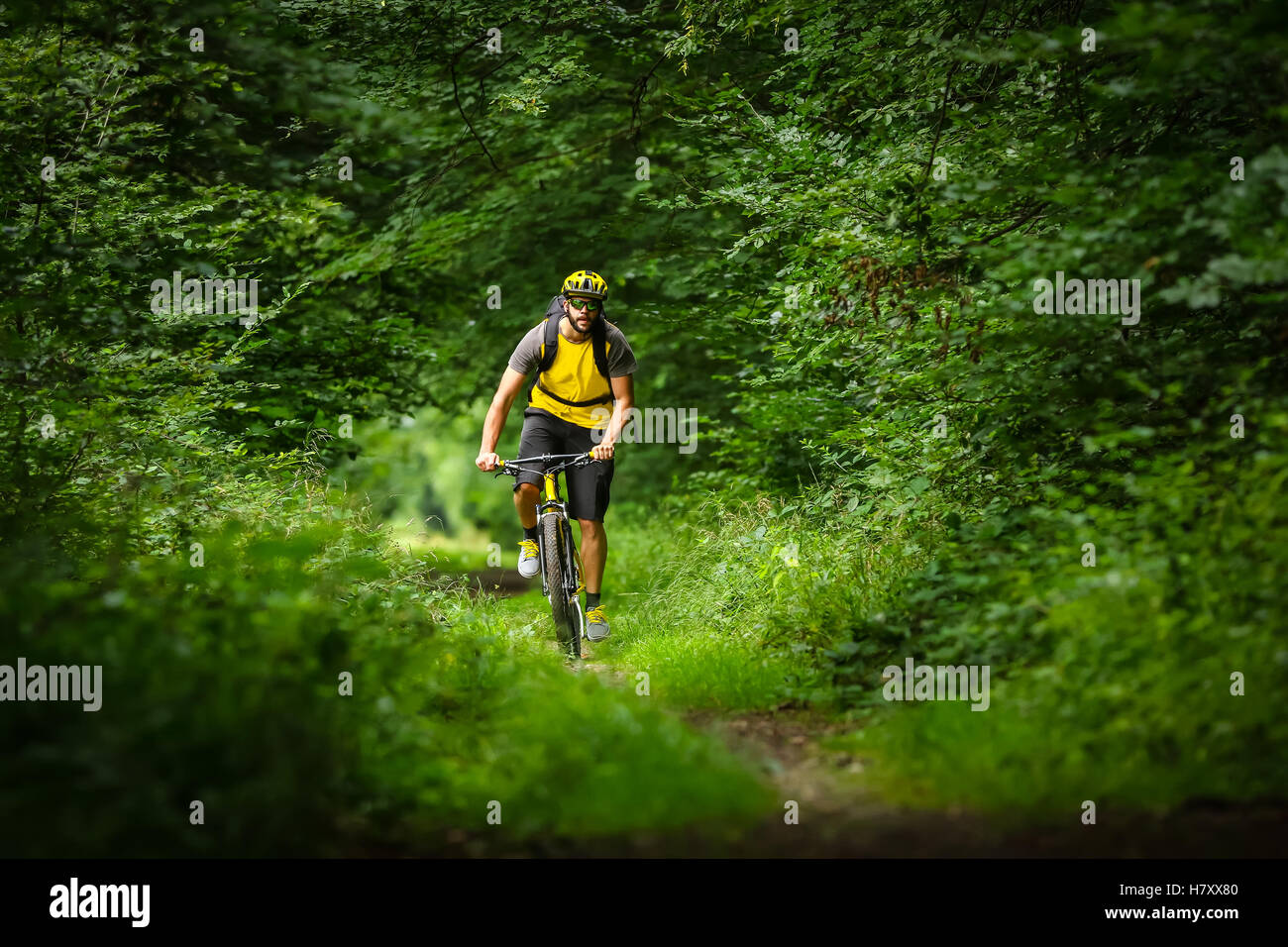 Le vélo de montagne Vélo jaune dans les bois Banque D'Images