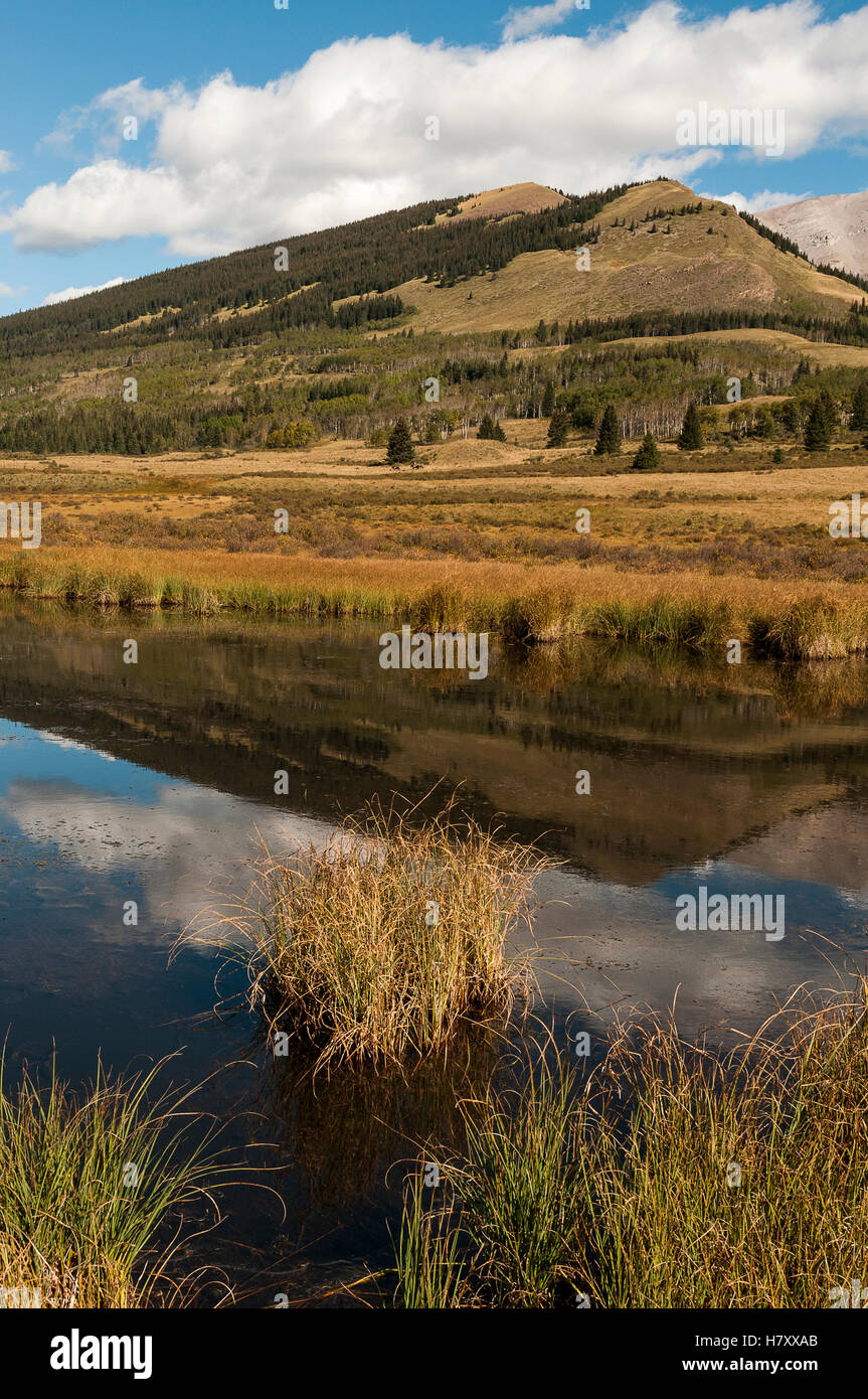 L'arrière-pays de l'Alberta, le comté de Clearwater ; Alberta, Canada Banque D'Images