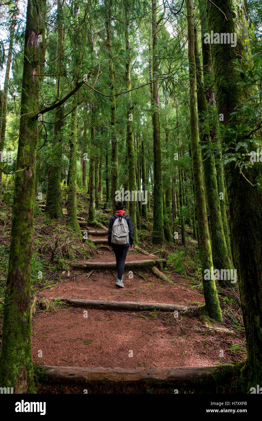 Jeune femme trekking dans Sete Cidades, Ponta Delgada, Sao Miguel, Açores, Portugal Banque D'Images