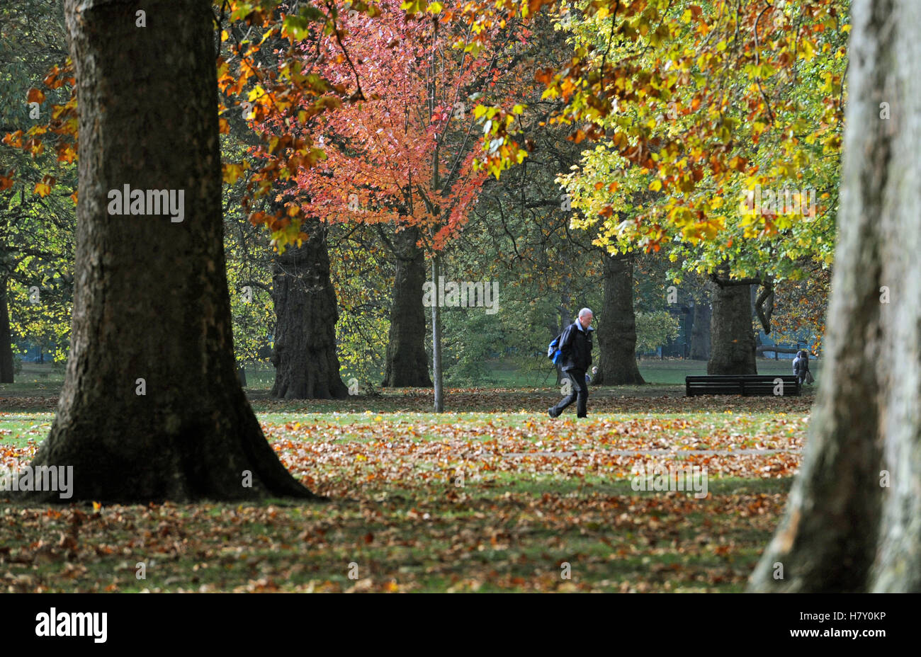 Les gens marcher dans Green Park, Londres, à mesure que l'hiver s'est mis à balayer au début le mardi de avec beaucoup de neige jusqu'à 15cm (6pouces) de profondeur menacé d'introduire une perturbation de voyage. Banque D'Images