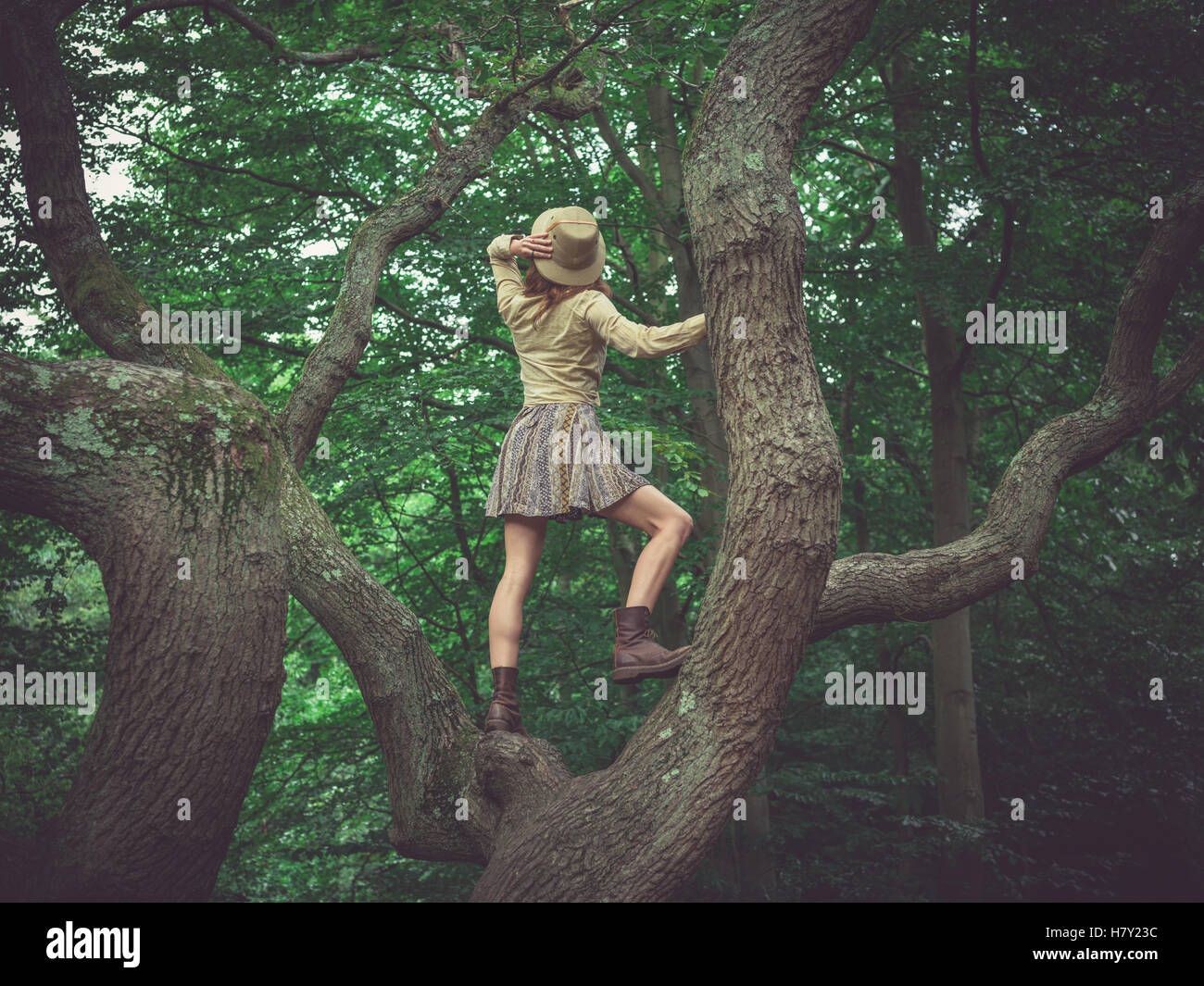 Une jeune femme portant un chapeau de safari est l'escalade un arbre dans la forêt Banque D'Images