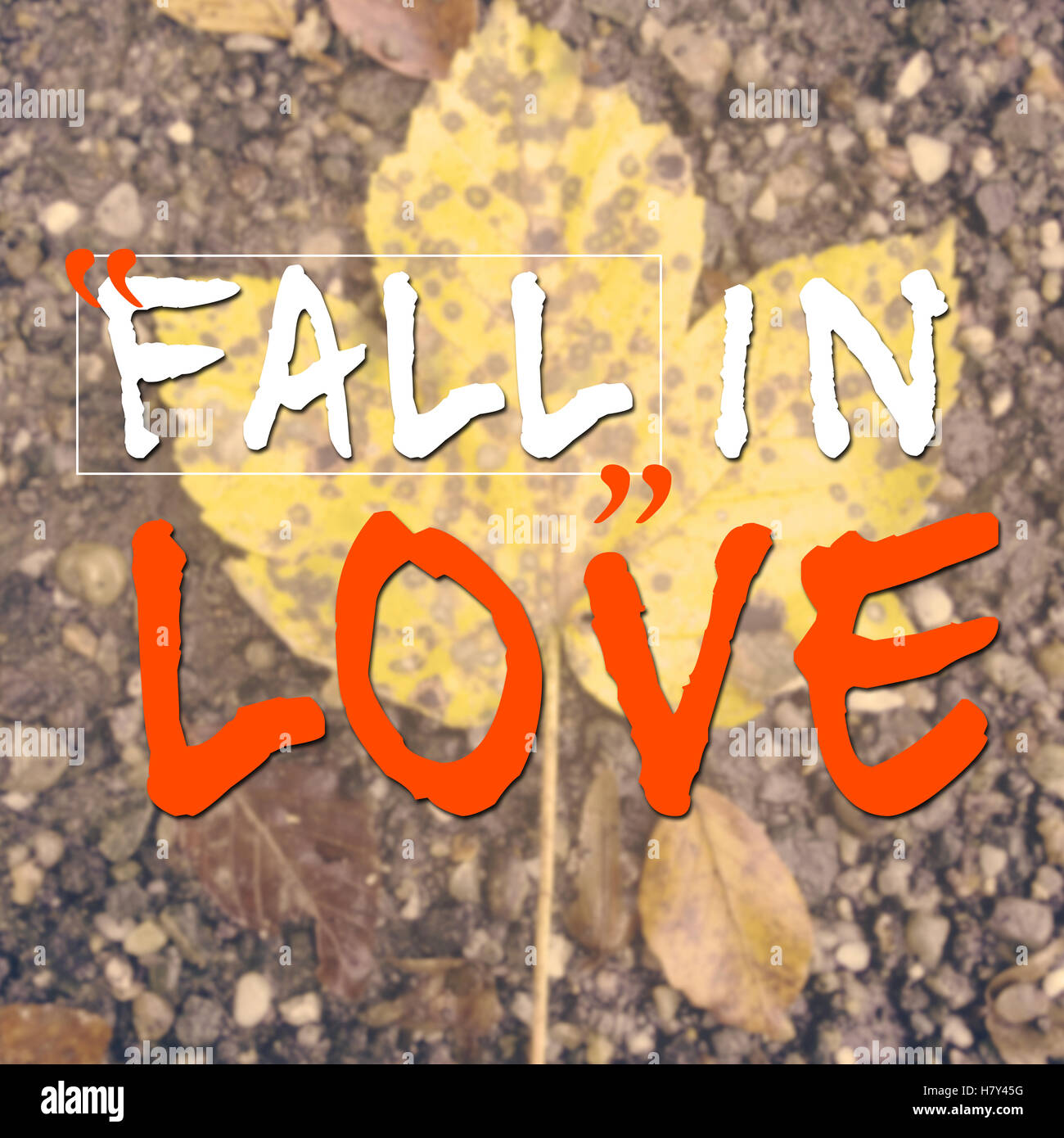 Tomber En Amour Citation Inspirante Sur Fond Flou Avec Feuille Jaune Sur Le Terrain Photo Stock Alamy Tomber En Amour Citation Inspirante Sur Fond Flou Avec Feuille Jaune Sur Le Terrain Photo Stock Alamy