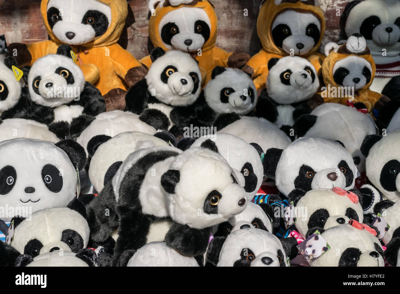 Panda en peluche poupées pour la vente à l'extérieur de la Base de Pandas de Chengdu dans la province du Sichuan, Chine Banque D'Images