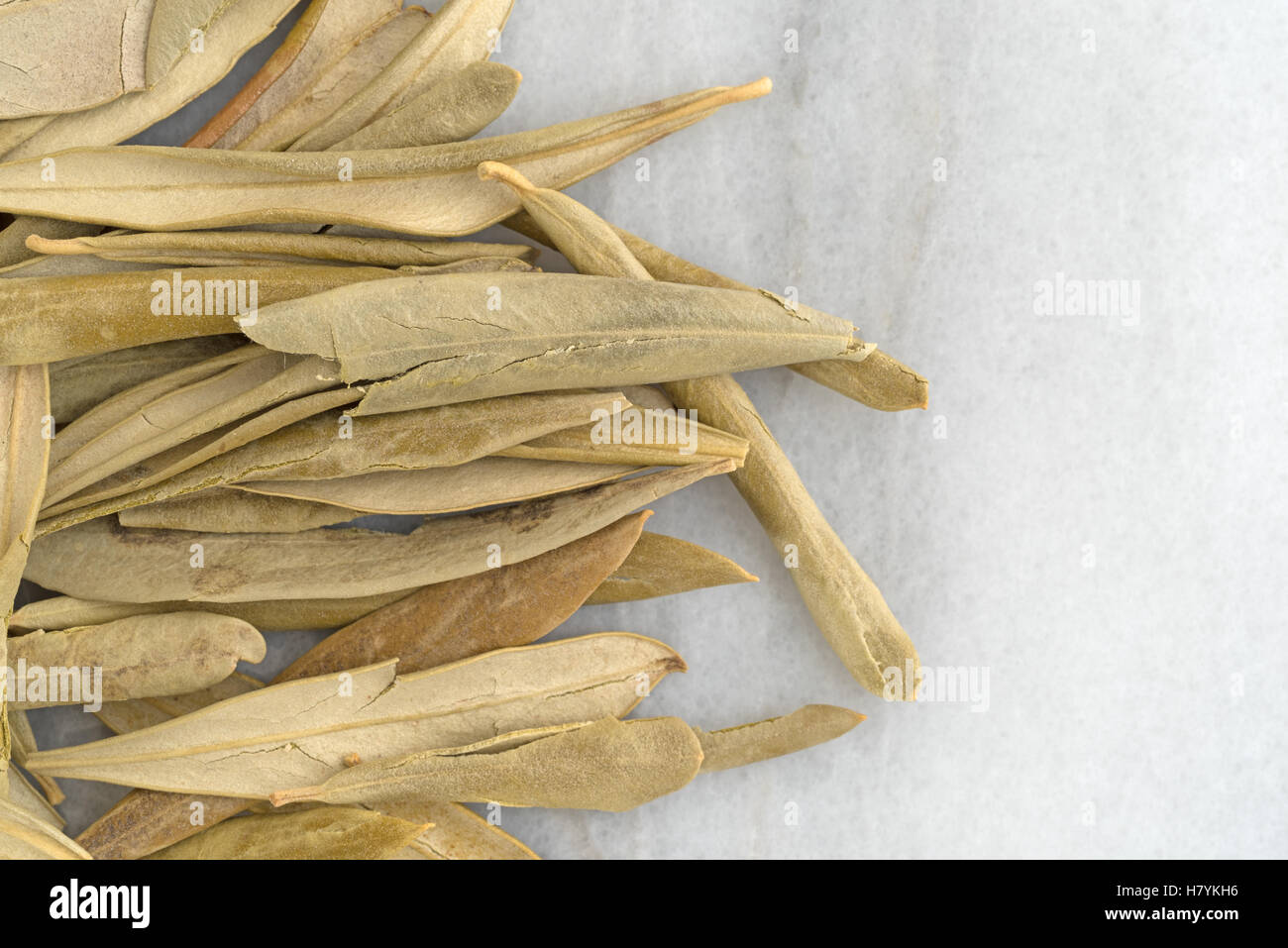 Haut de page Fermer la vue des feuilles d'olive biologique séché sur une planche à découper en marbre gris. Banque D'Images