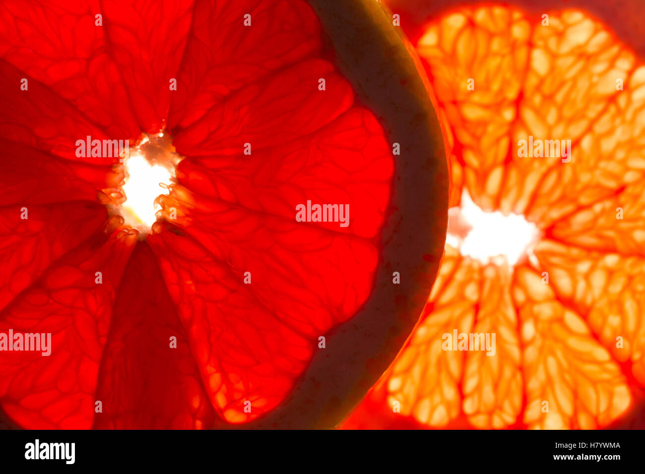 Close-up of orange sanguine Banque D'Images