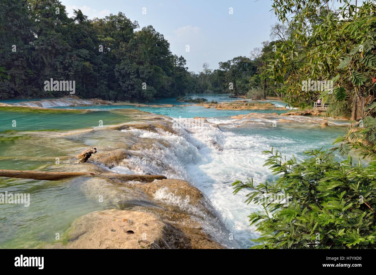 Cataratas de Agua Azul, cascades d'eau bleue, rocky pas de Rio Yax, Palenque, Chiapas, Mexique Banque D'Images