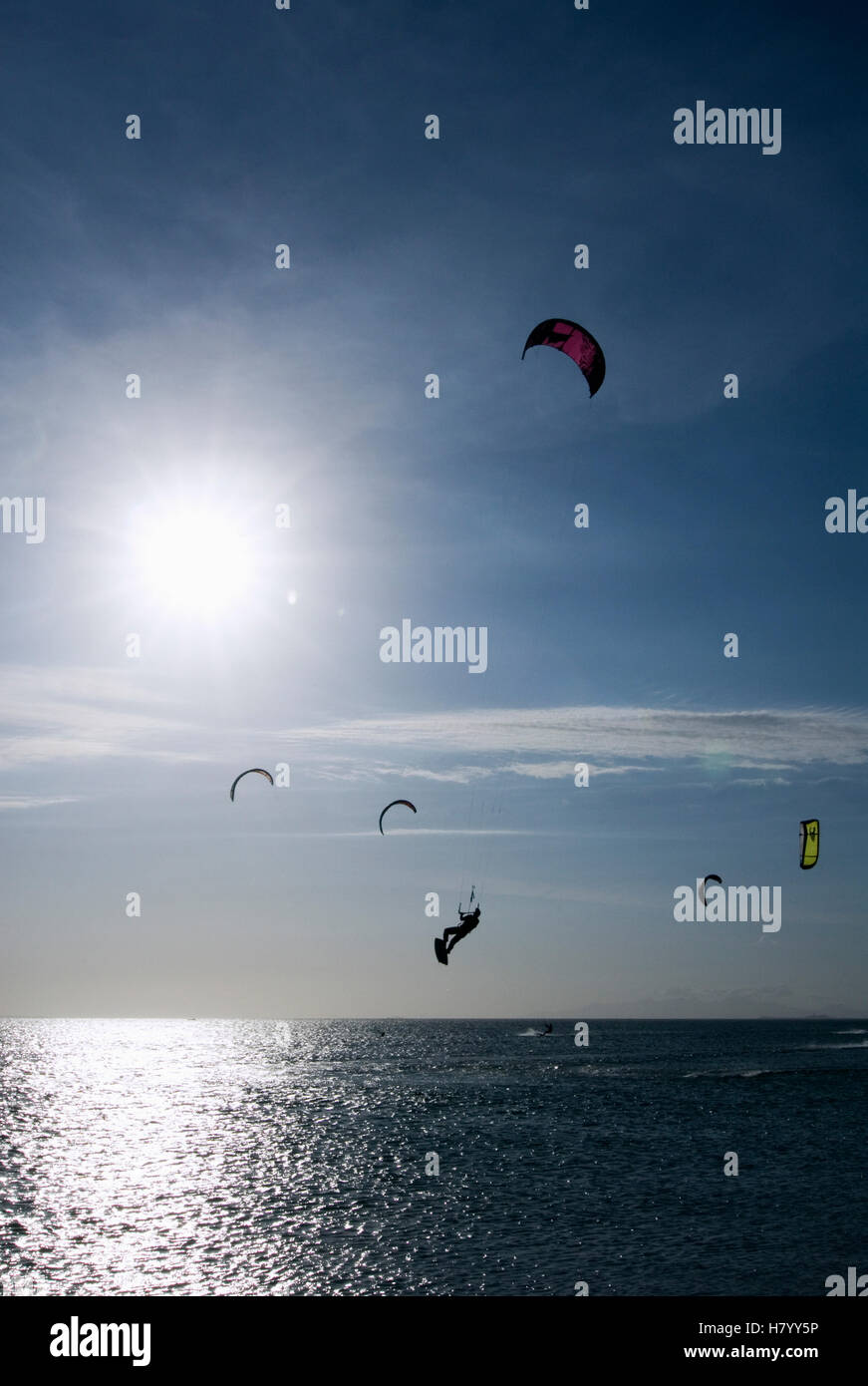 Kite surfeurs sur une plage, Coche Island, Venezuela, Amérique du Sud Banque D'Images