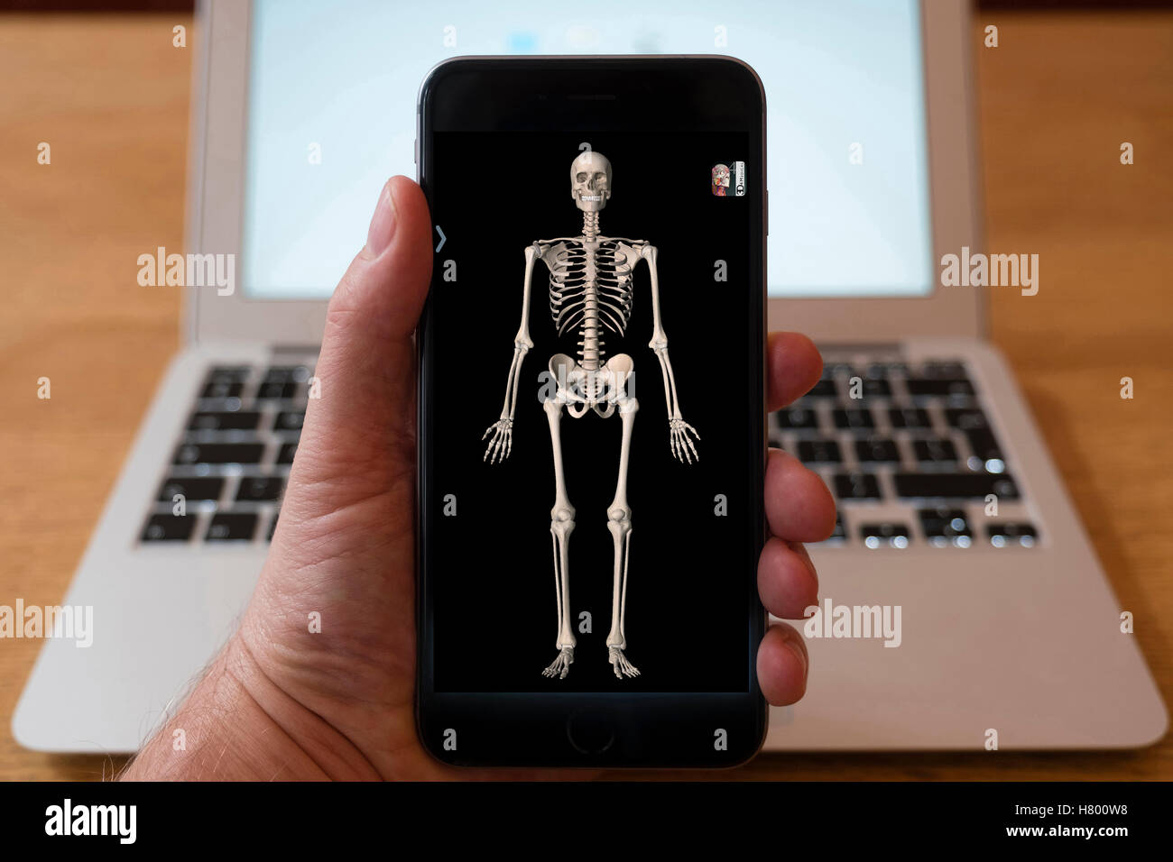 À l'aide d'iPhone smartphone pour afficher l'image 3D de l'anatomie du squelette de l'application de l'éducation médicale Banque D'Images