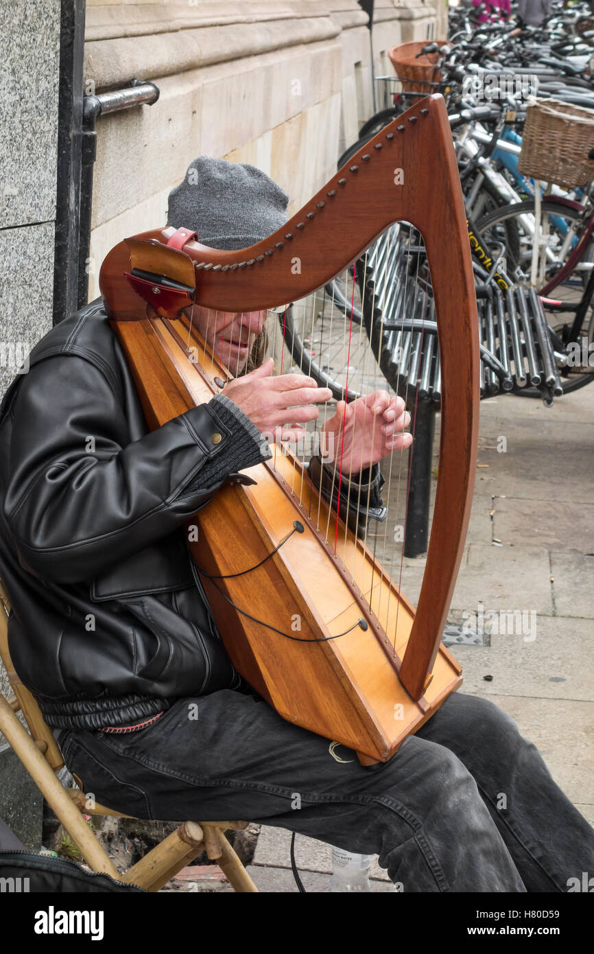 Musicien ambulant jouant harpe irlandaise Cambridge Cambridgeshire Angleterre Royaume-uni 2016 Banque D'Images