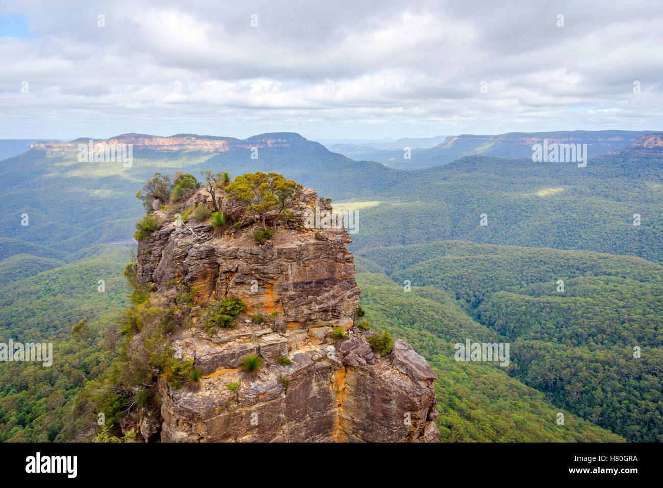 Rock formation in Blue Mountains National Park, Australie Banque D'Images