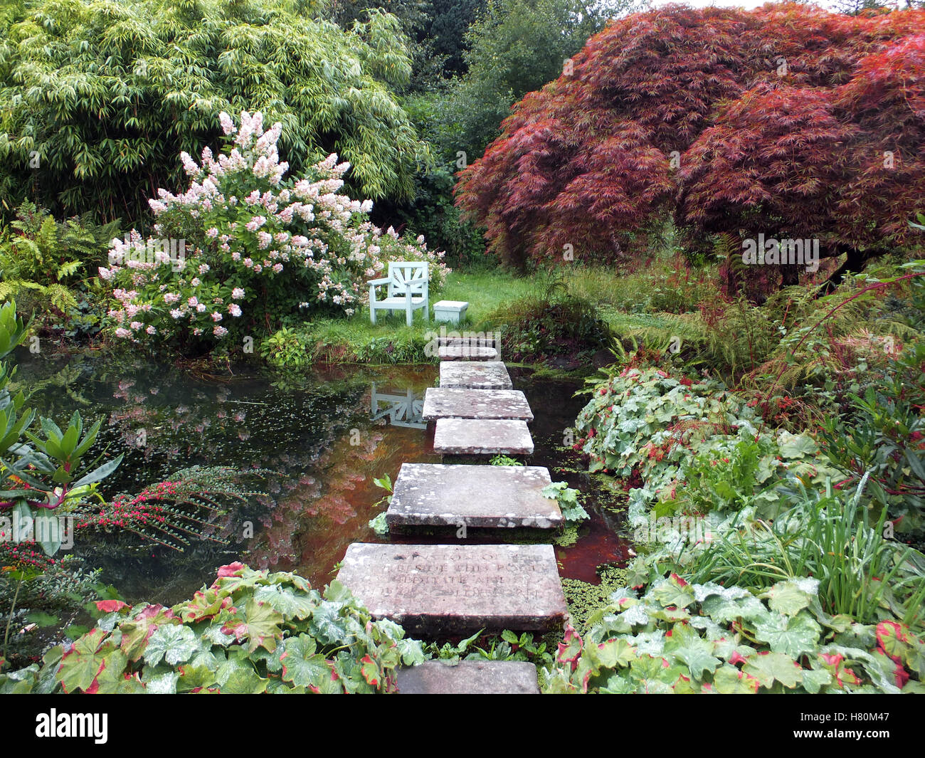 Jardin japonais Banque D'Images