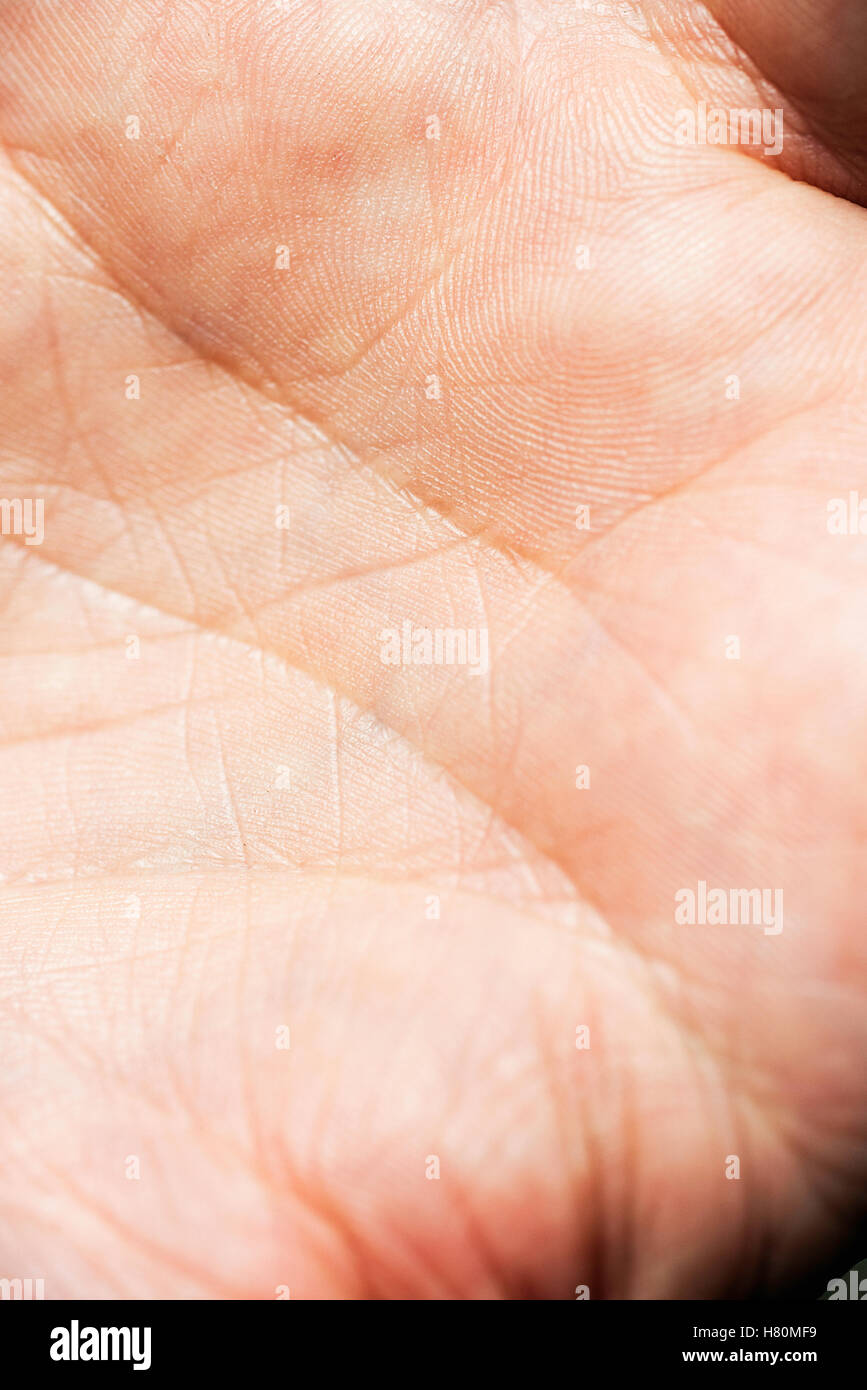 La peau de la paume de la main d'un homme. Banque D'Images