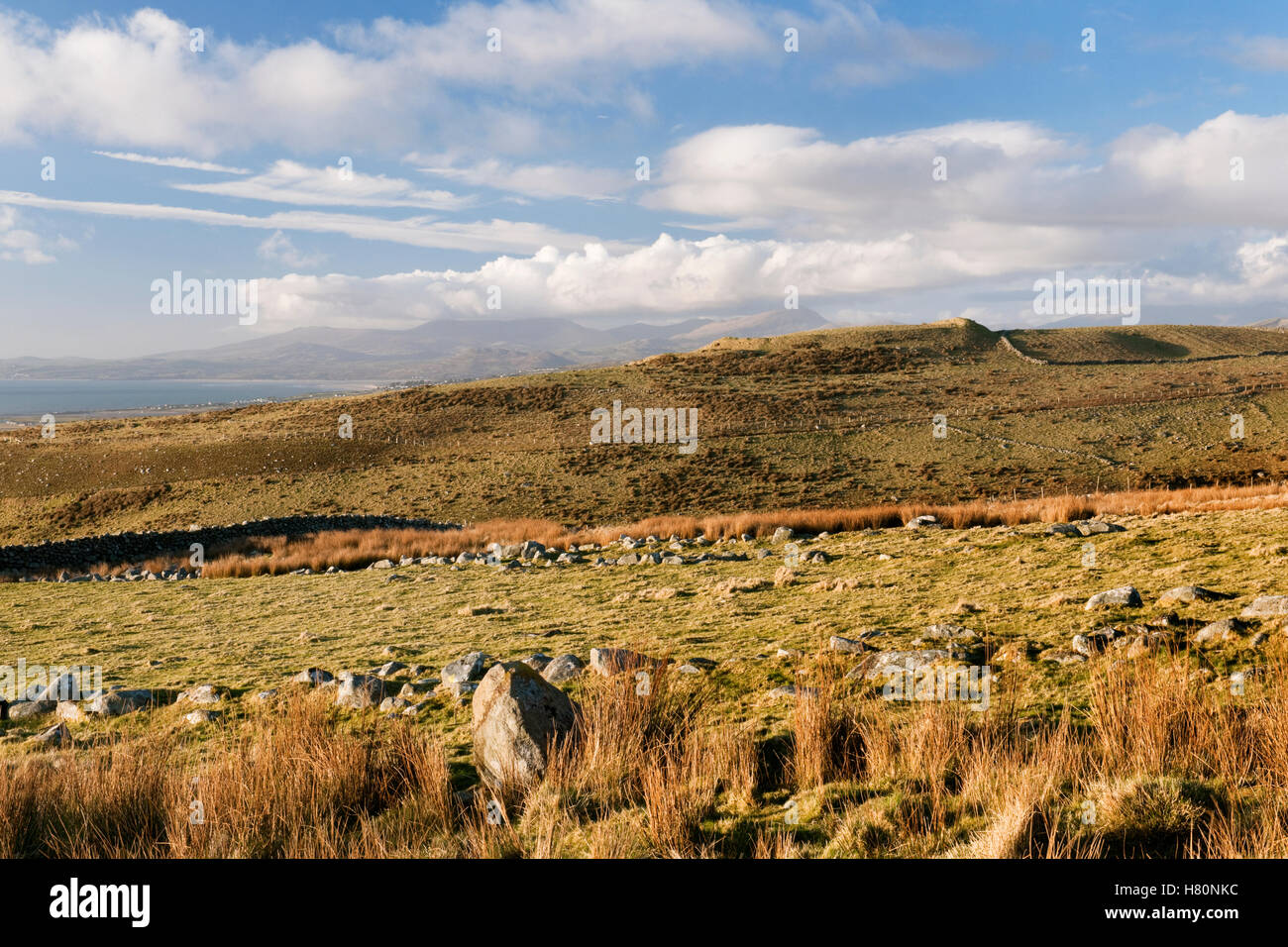 Pen y Dinas fortin de sentier au-dessus de l'abbaye de Egryn. & Plowmarks profil fort arrière (R), murs de terrain préhistorique (au premier plan). Banque D'Images