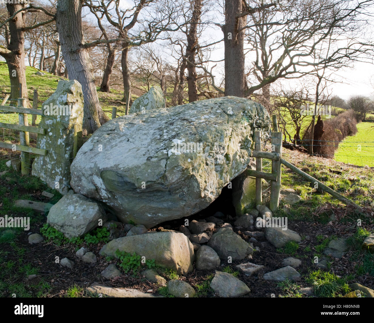 Voir SSE de Hendre Waelod chambre funéraire, vallée de Conwy, montrant les deux pierres du portail (L) & chambre massive capstone en partie glissé. Banque D'Images