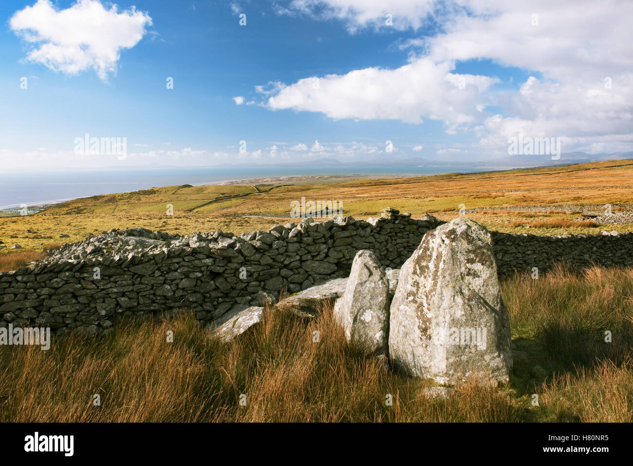 Hengwm Carneddau chambres funéraires : portail ruiné dolmen à e fin de la longue coupure cairn s par un mur sur le terrain du 18ème. N cairn pour R. Banque D'Images