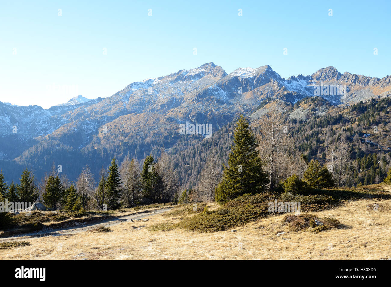 La vue sur les montagnes et pente de ski Dolomiti, Madonna di Campiglio, Italie Banque D'Images