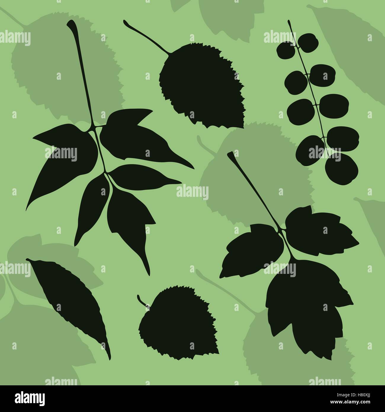 Silhouette de feuilles de différentes espèces d'arbres Illustration de Vecteur