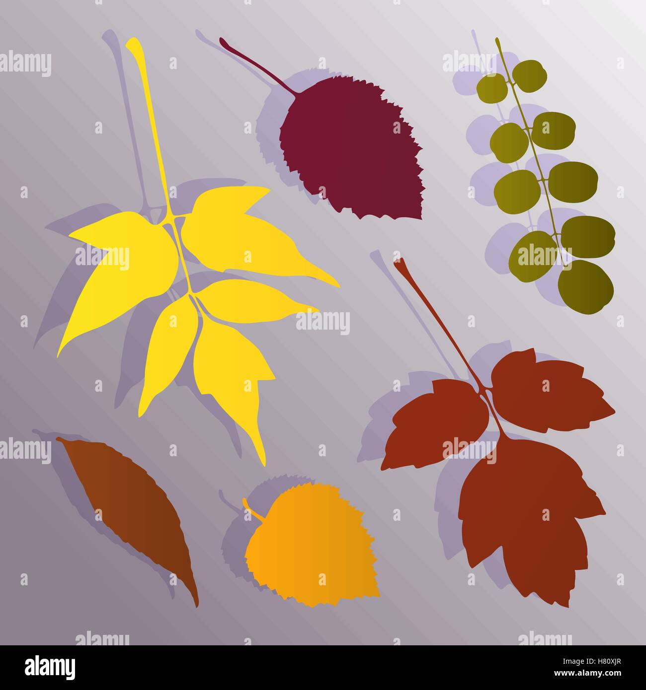 Silhouette de feuilles d'automne Illustration de Vecteur