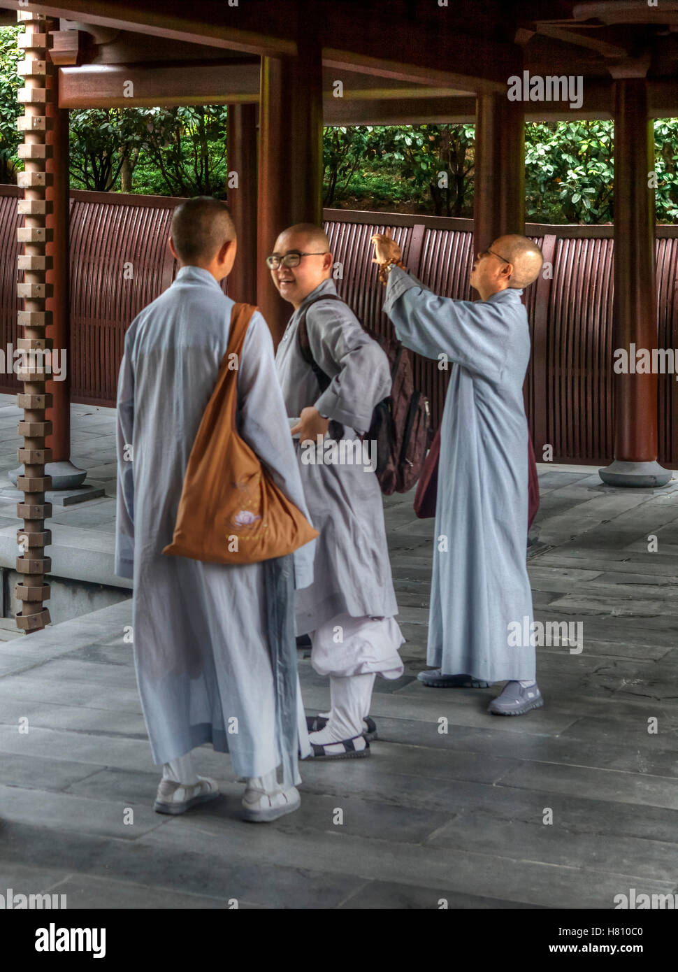 Chi Lin Nunnery, Kowloon, Hong Kong, Chine. Un jour de pluie, avec trois moines. Banque D'Images