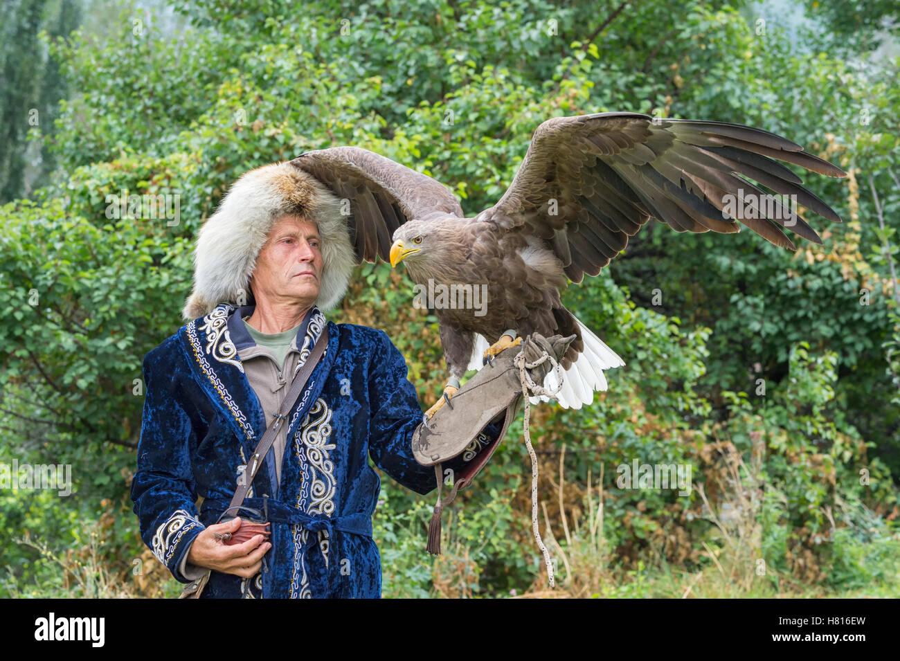Pavel Pfander, entraîneur de l'Aigle royal (Aquila chrysaetos), sanctuaire falcon raptor Sunkar, Almaty, Kazakhstan Banque D'Images