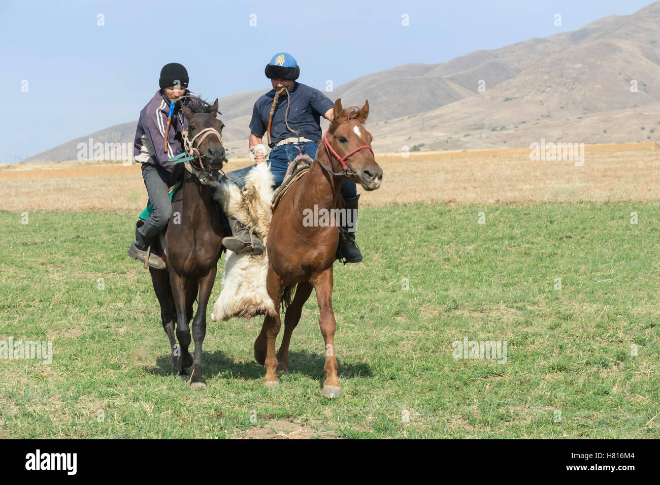 Kokpar traditionnels ou buzkashi dans la périphérie de Gabagly parc national, Shymkent, Kazakhstan, Région du Sud, l'Asie centrale Banque D'Images