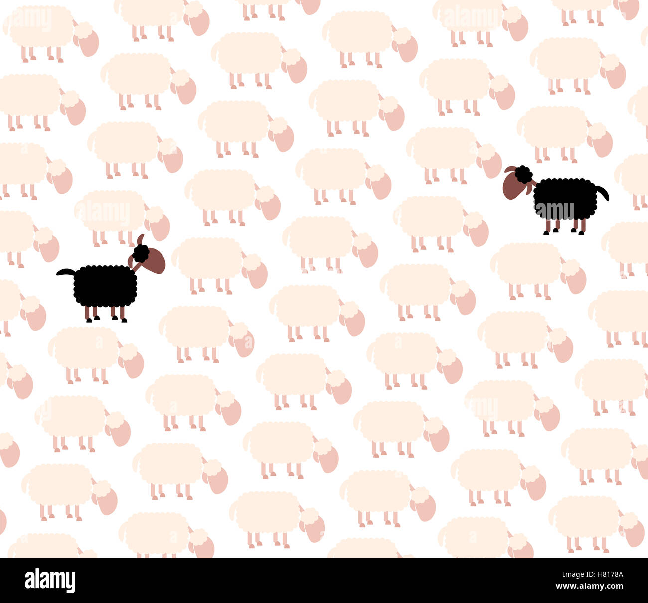 Mouton noir - autres - victime parmi les moutons blancs en troupeau. Banque D'Images