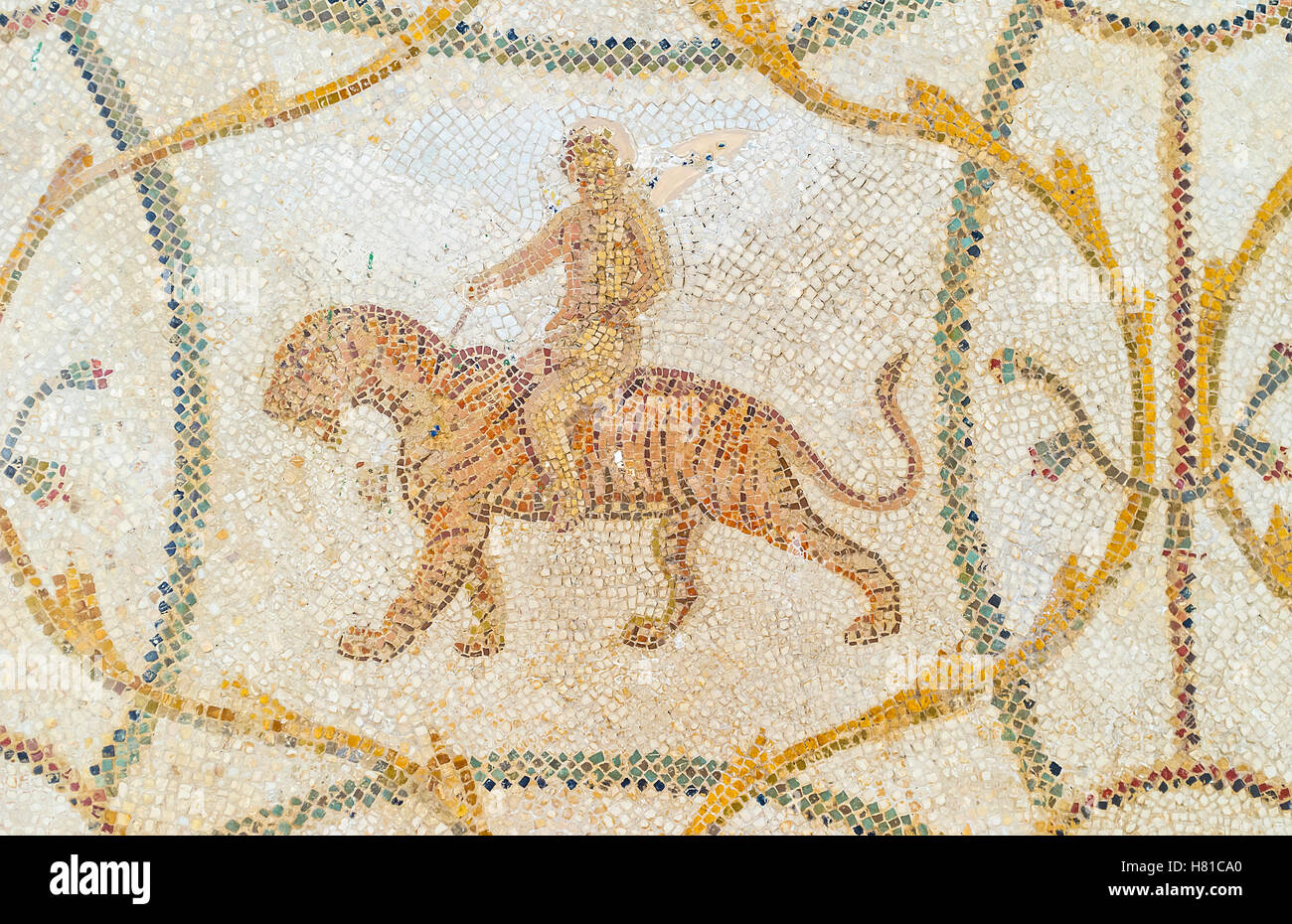 La mosaïque représente la circonscription de Dionysos un tigre, entouré de motifs floraux, Musée national du Bardo, Tunis Banque D'Images